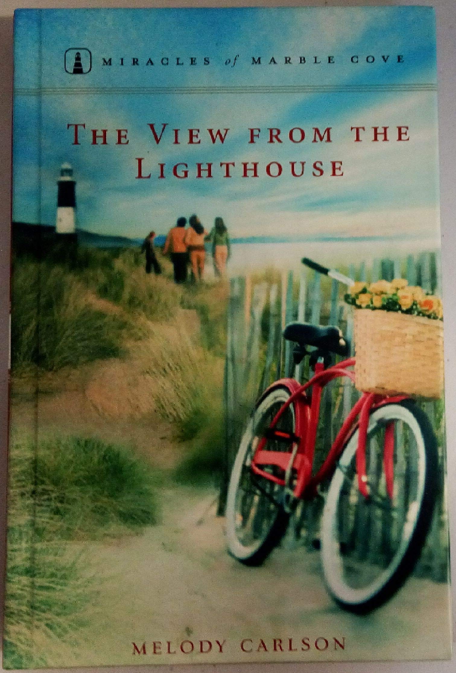 The View From the Lighthouse used book depot