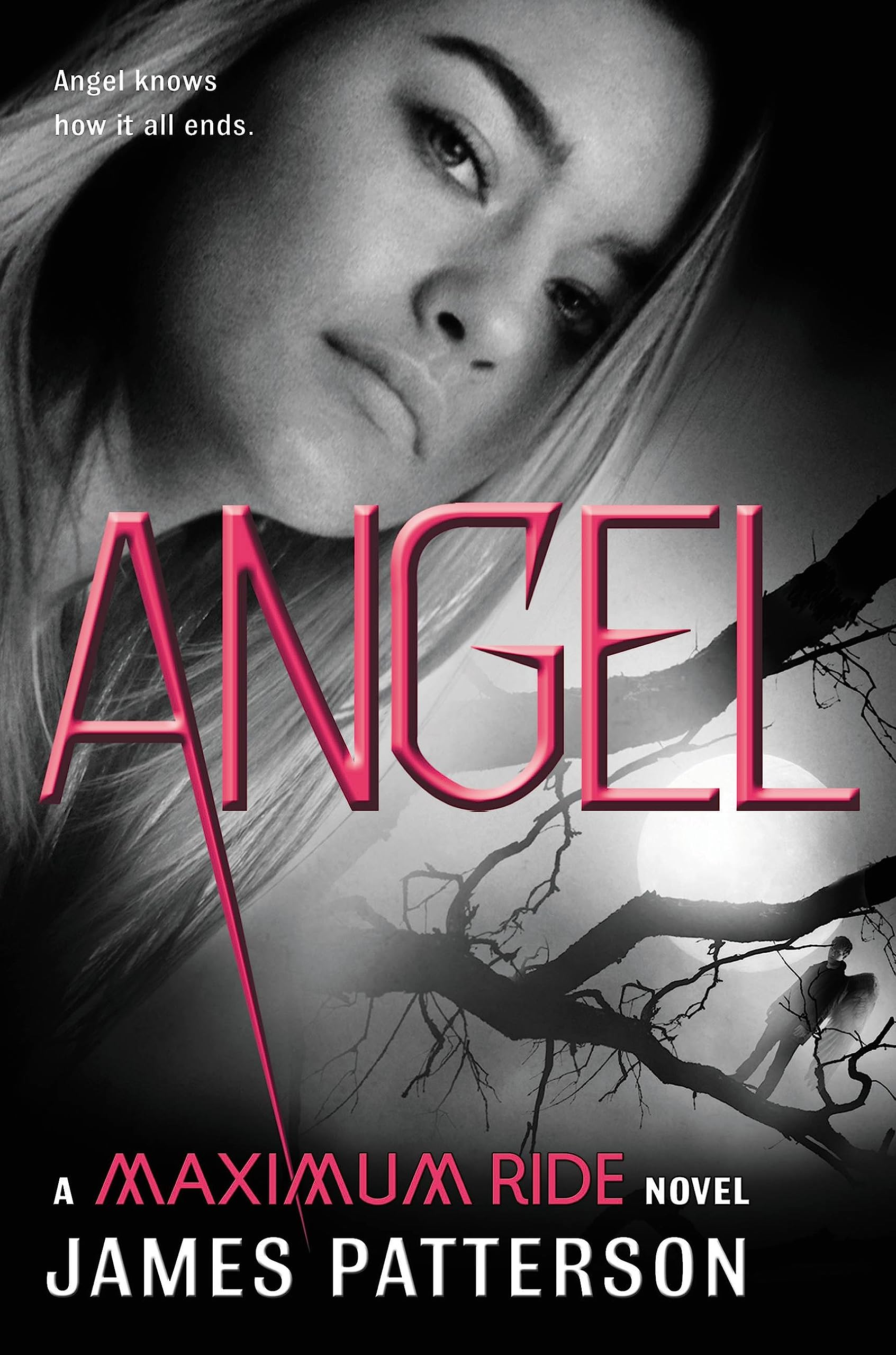 Angel: A Maximum Ride Novel (Maximum Ride, 7) used book depot