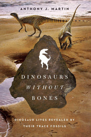Dinosaurs Without Bones used book depot