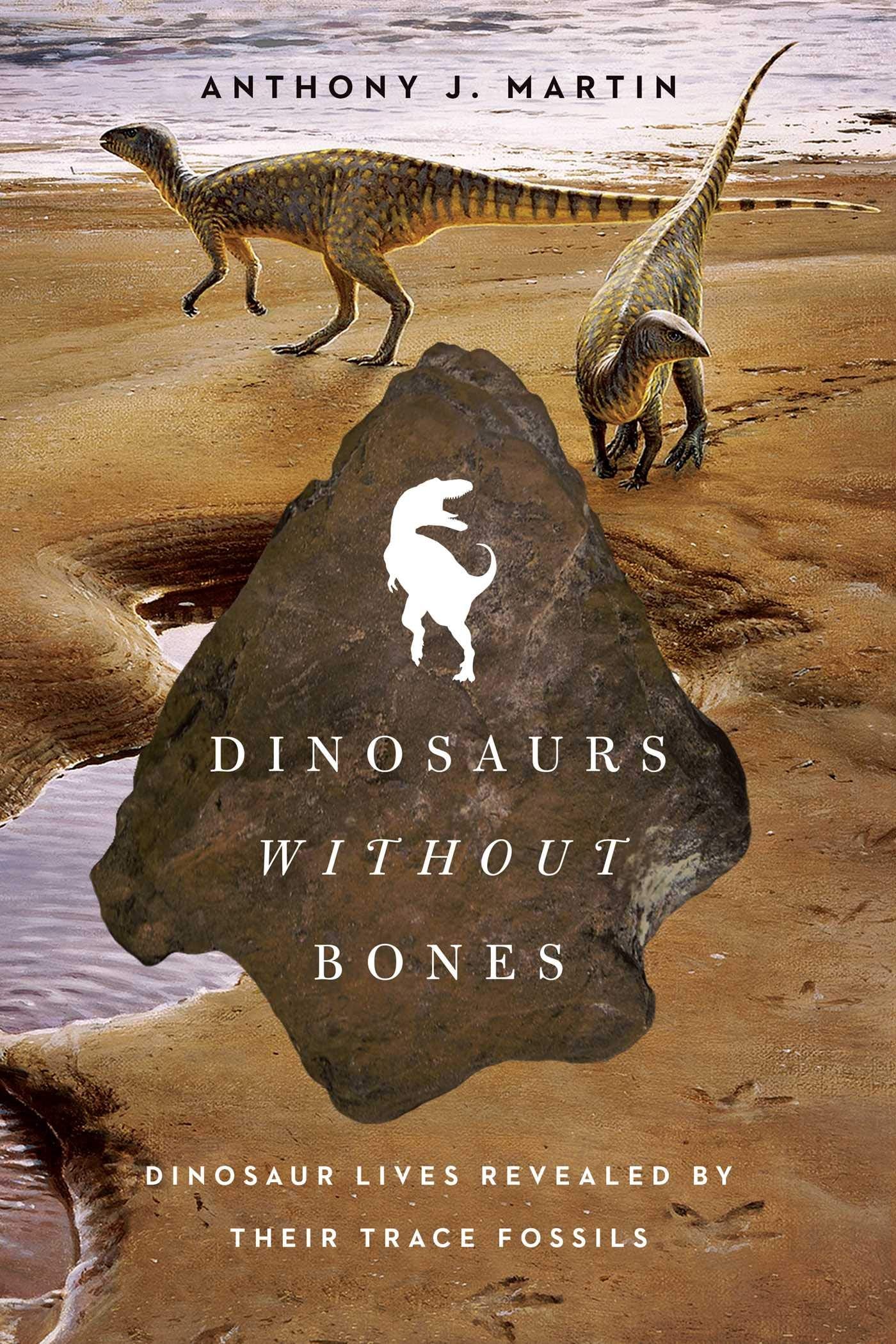 Dinosaurs Without Bones used book depot