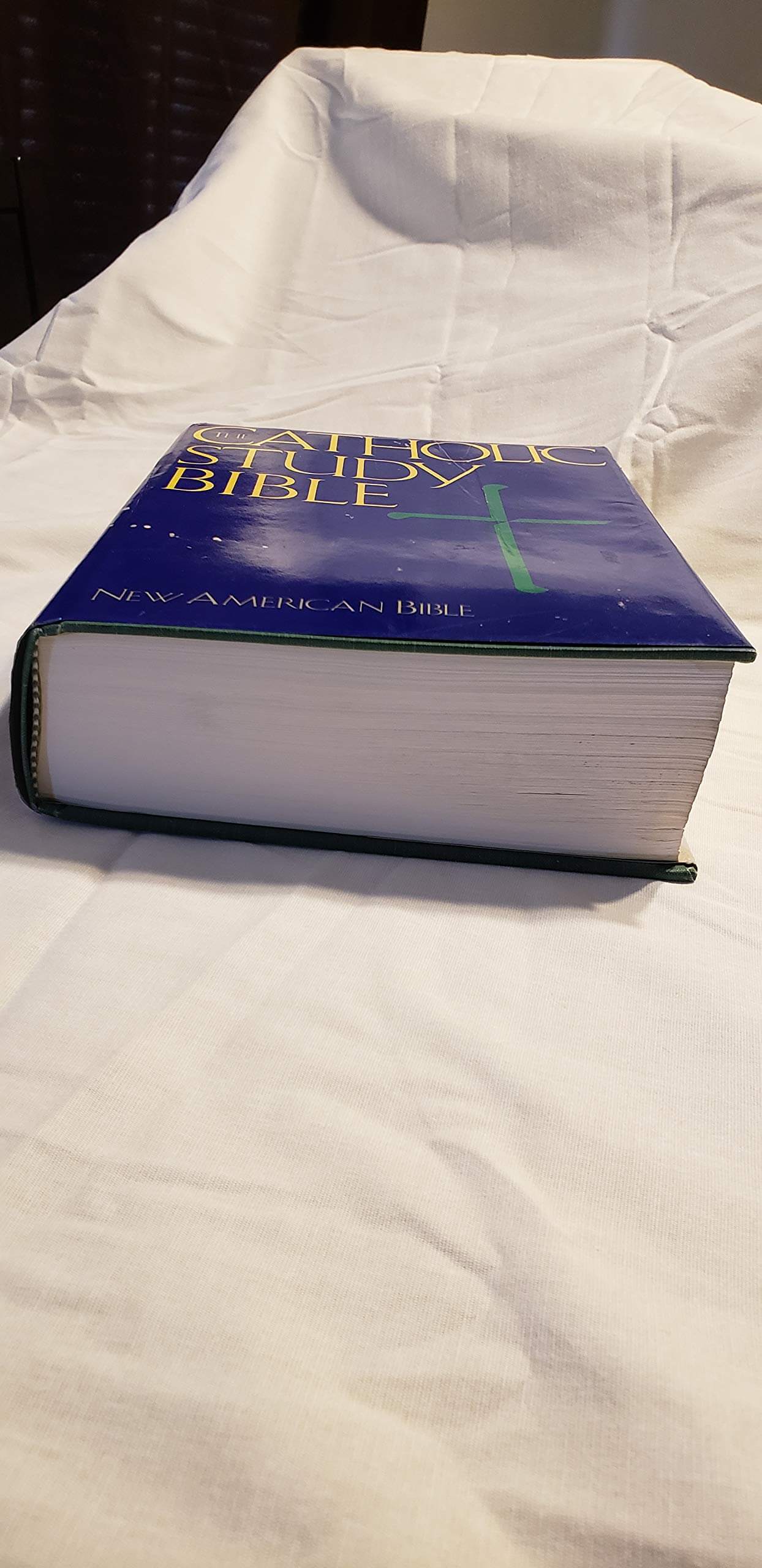 Catholic Study Bible: New American Bible, No 4200 used book depot