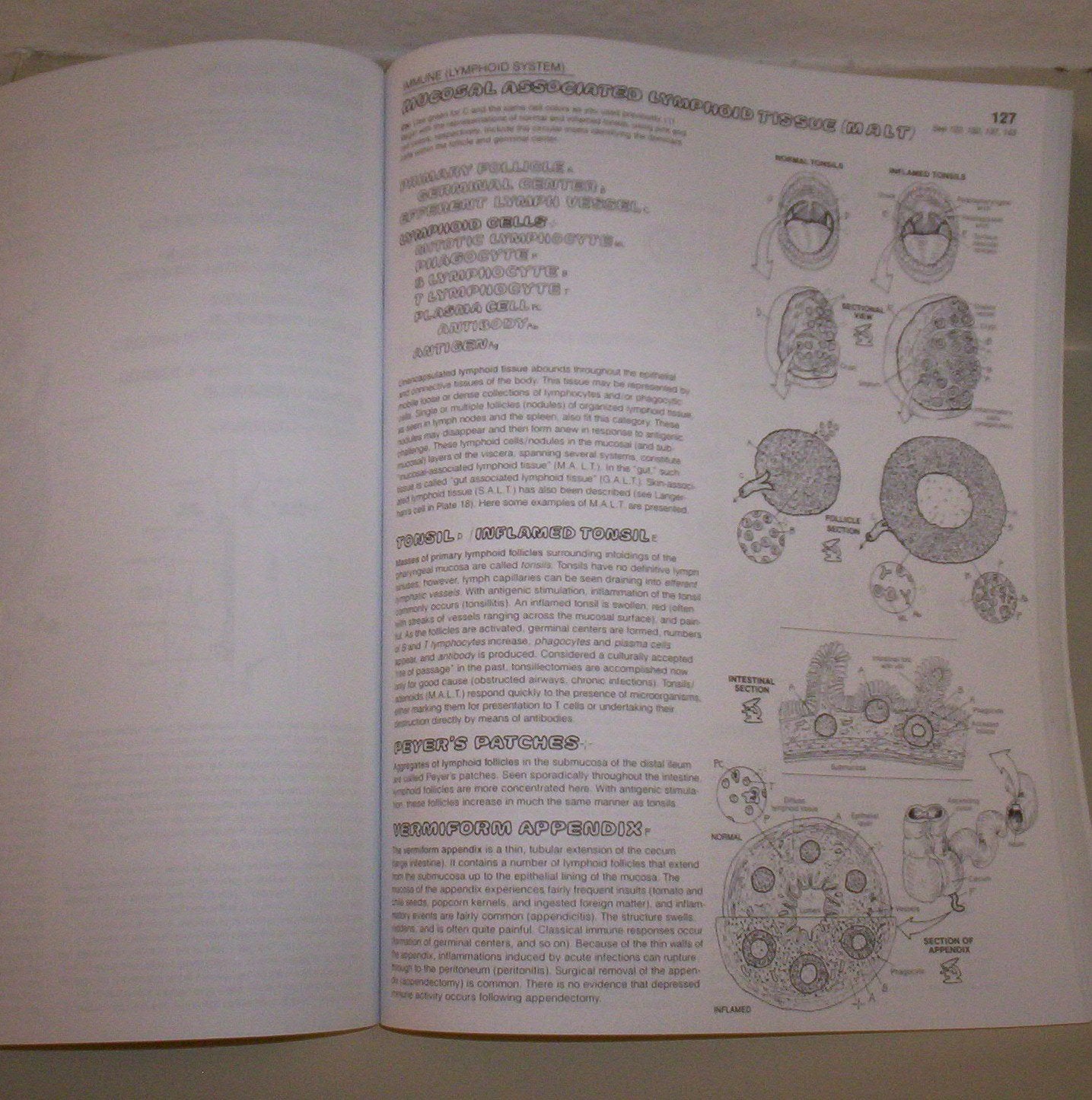 The Anatomy Coloring Book used book depot