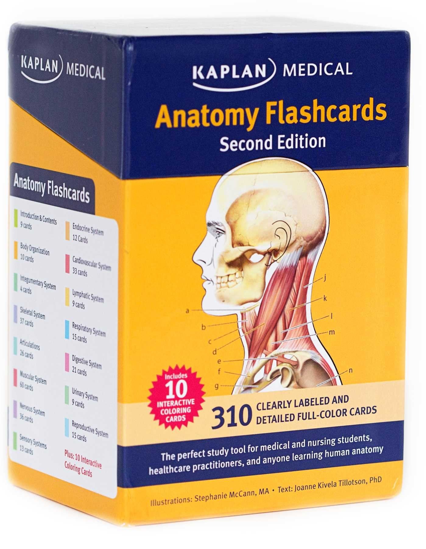 Anatomy Flashcards used book depot