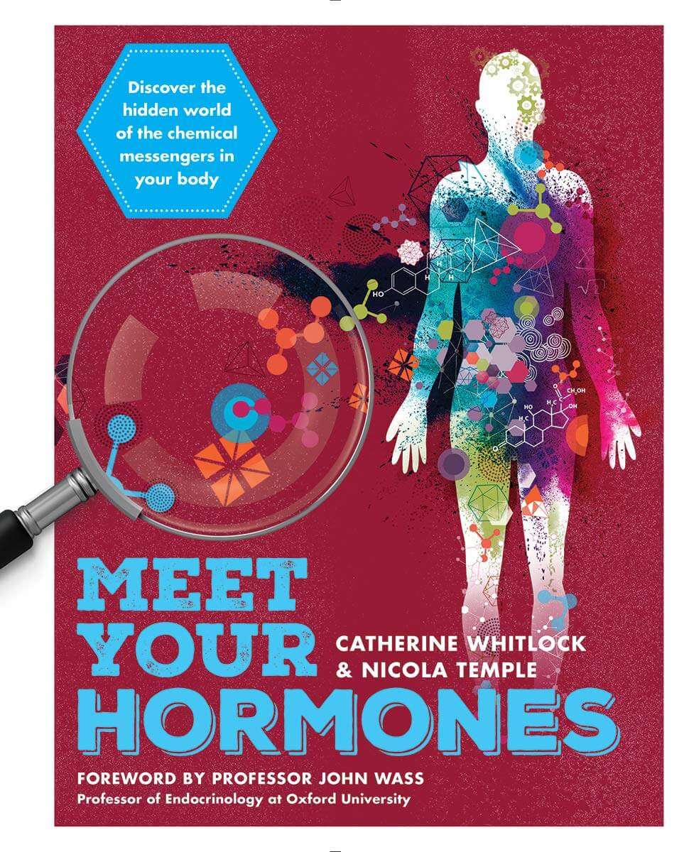 Meet Your Hormones: Discover the Hidden World of the Chemical Messengers in Your Body used book depot