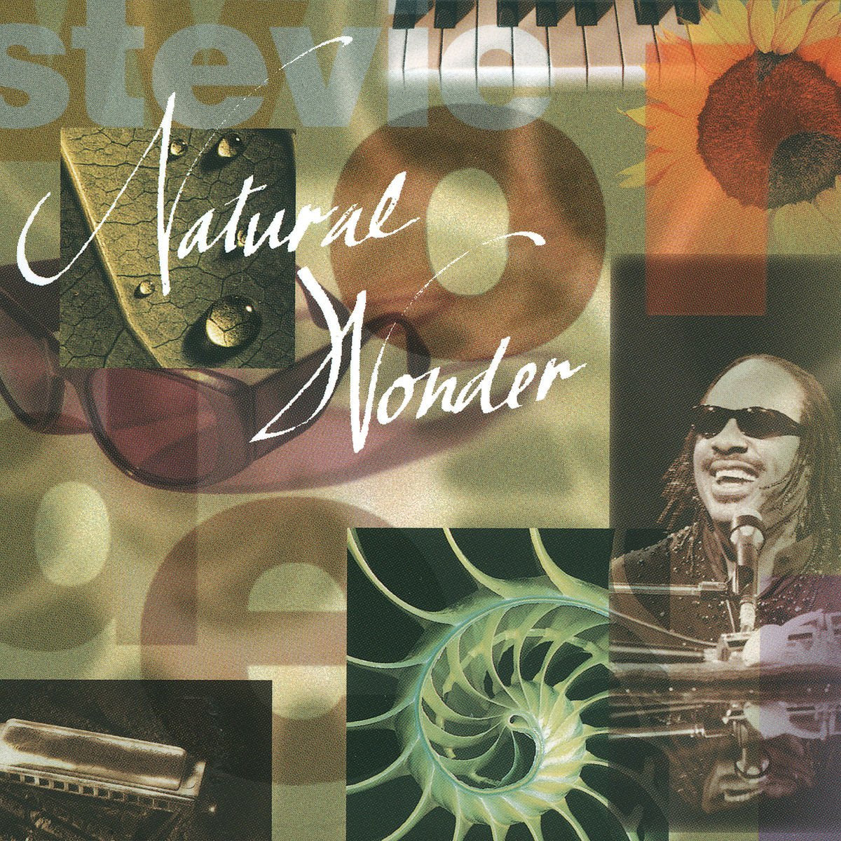 Natural Wonder: Live in Concert used book depot