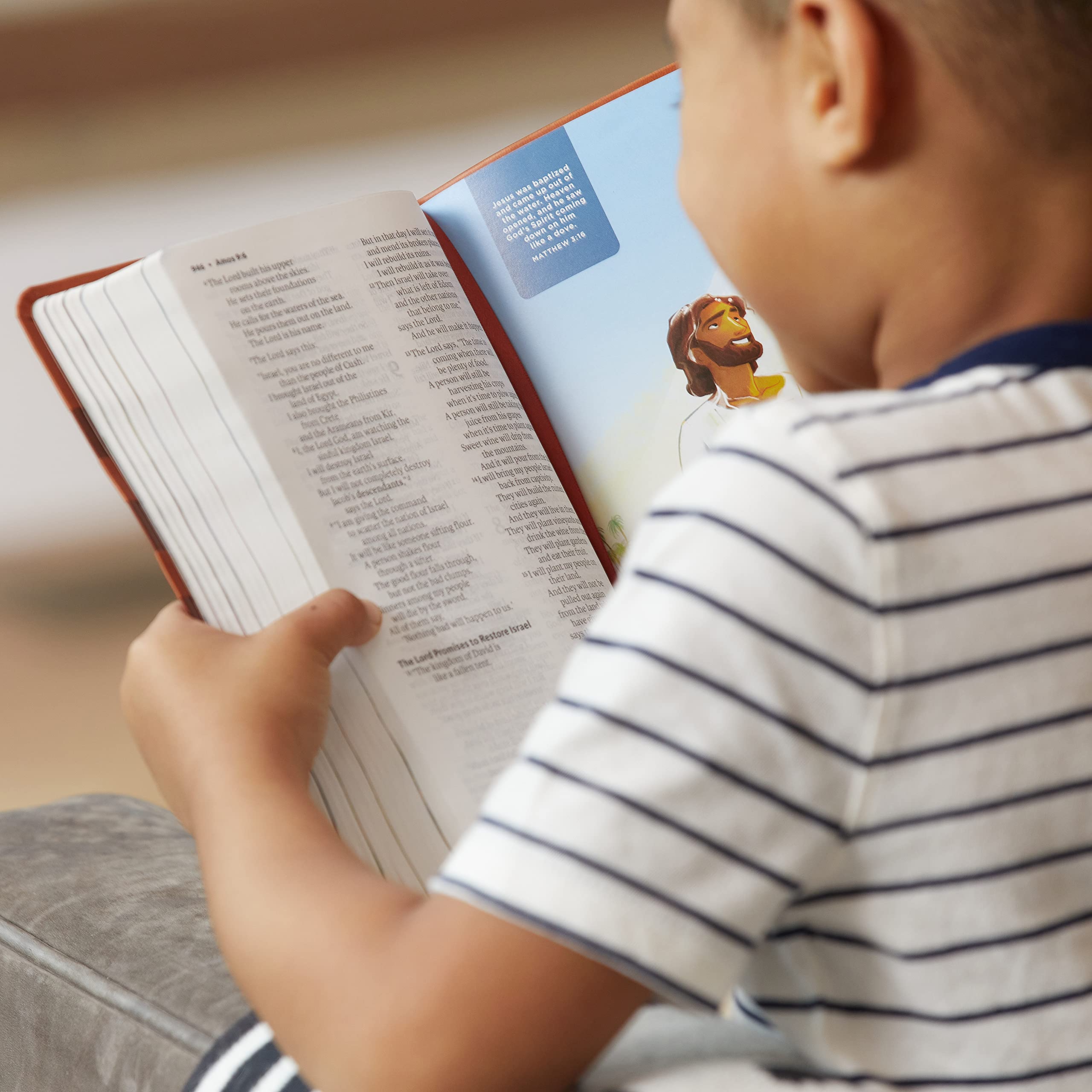 ICB, Holy Bible, Hardcover: International Children's Bible used book depot