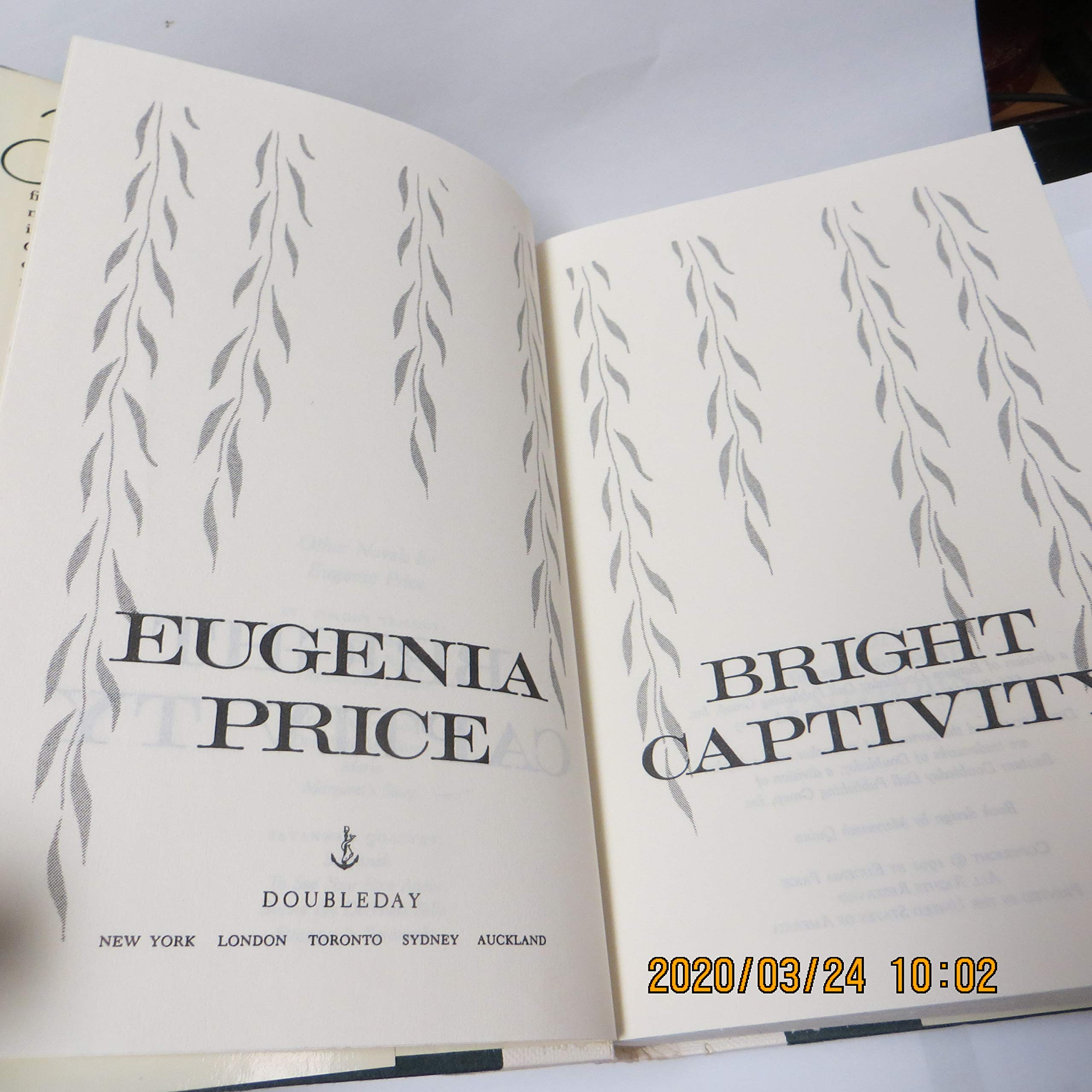 BRIGHT CAPTIVITY (Book One of the Georgia Trilogy) used book depot