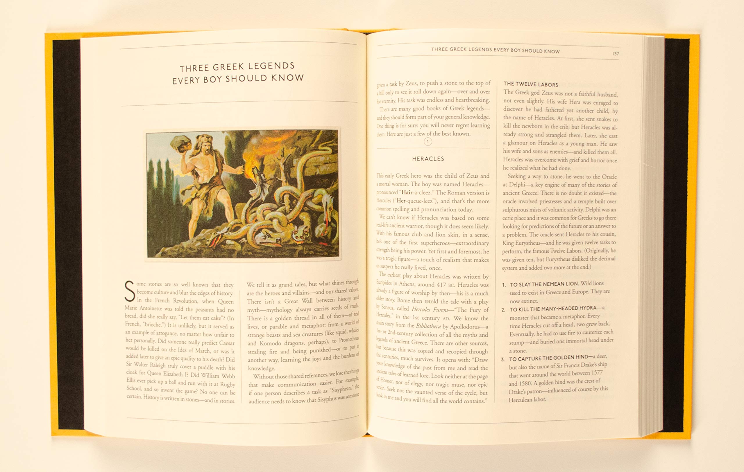 The Double Dangerous Book for Boys used book depot