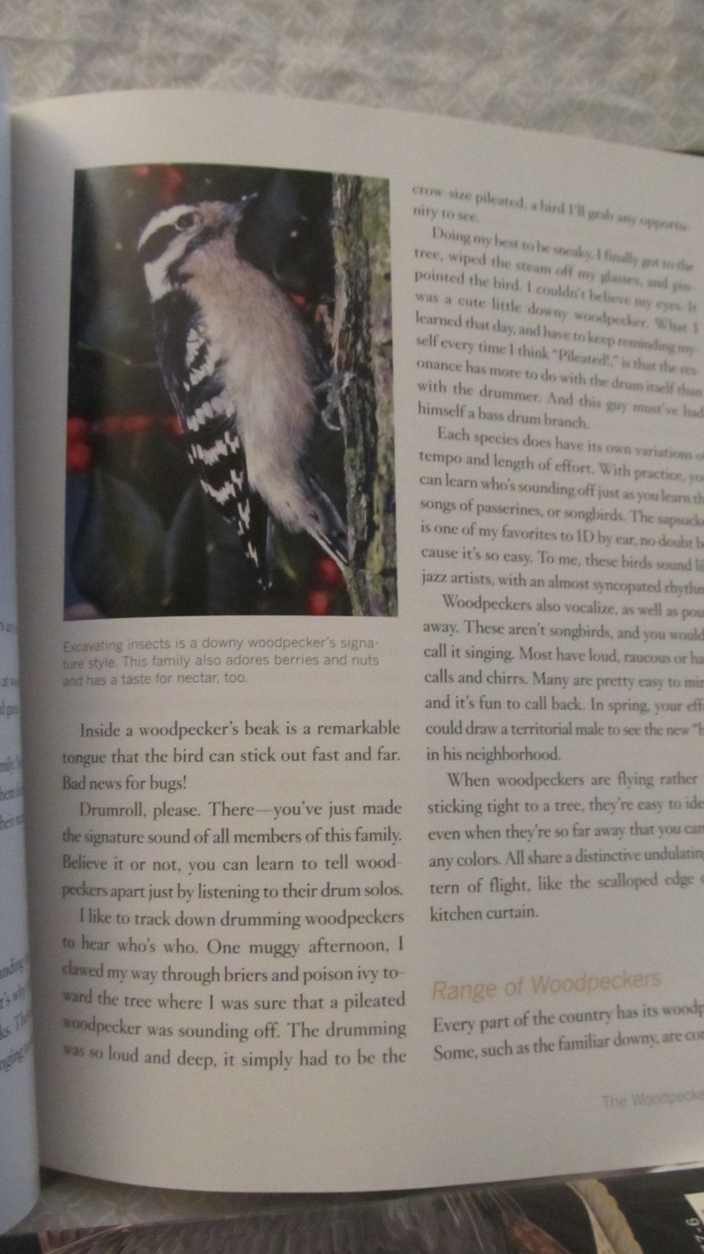 Rodale Books RODALE3113 Bird-by-Bird Gardening used book depot