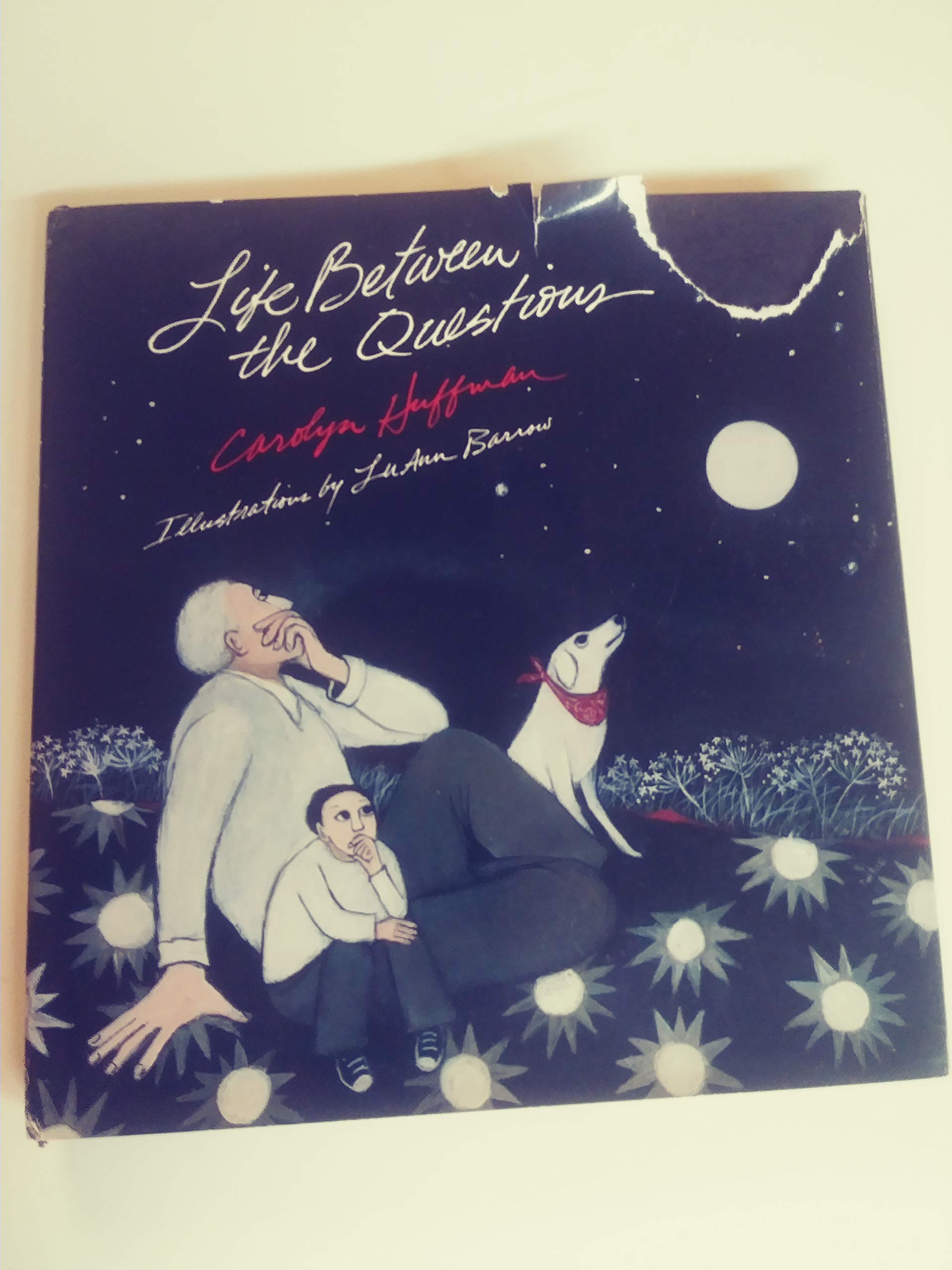 Life Between the Questions used book depot