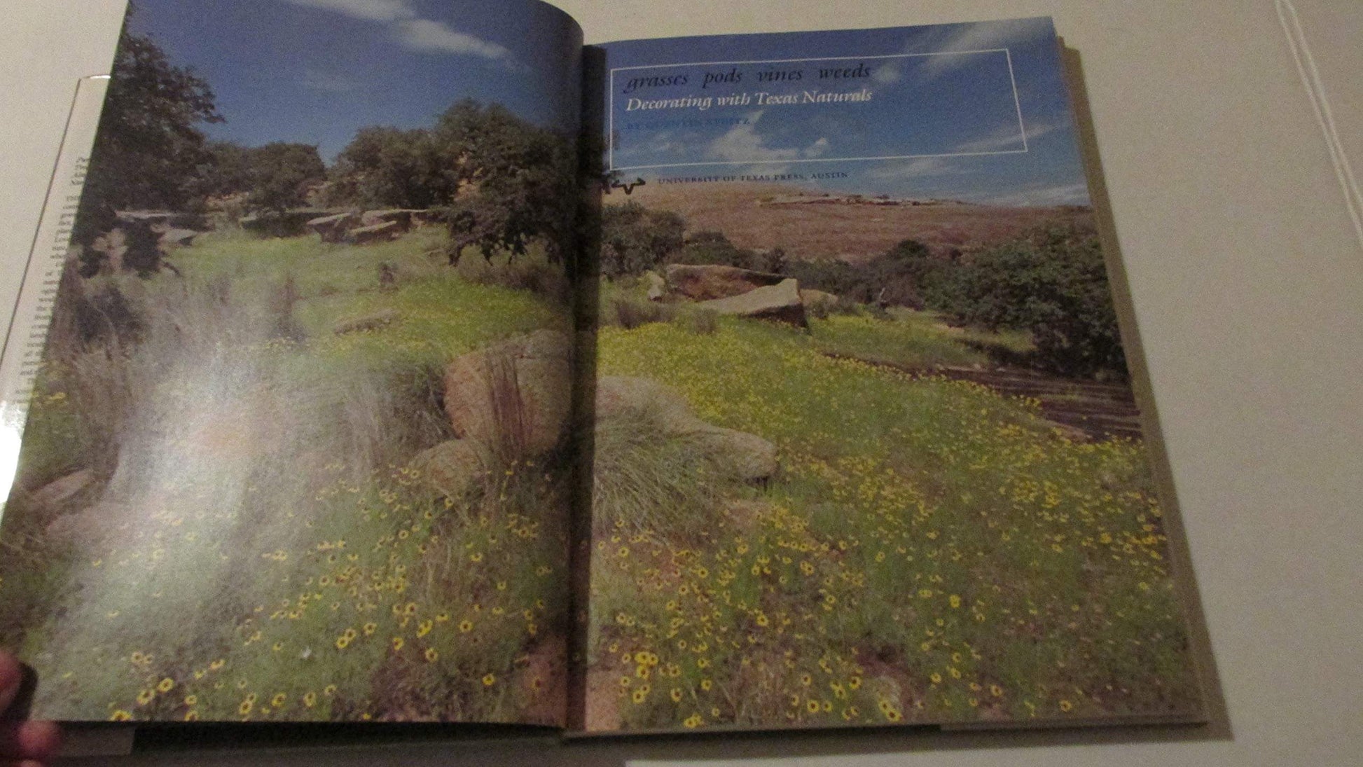 Grasses, Pods, Vines, Weeds: Decorating with Texas Naturals used book depot