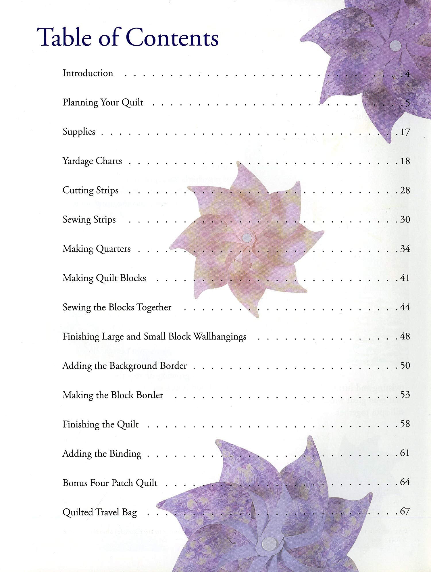 Double Pinwheel Quilt: An Easy Strip Method (Quilt in a Day Series) used book depot