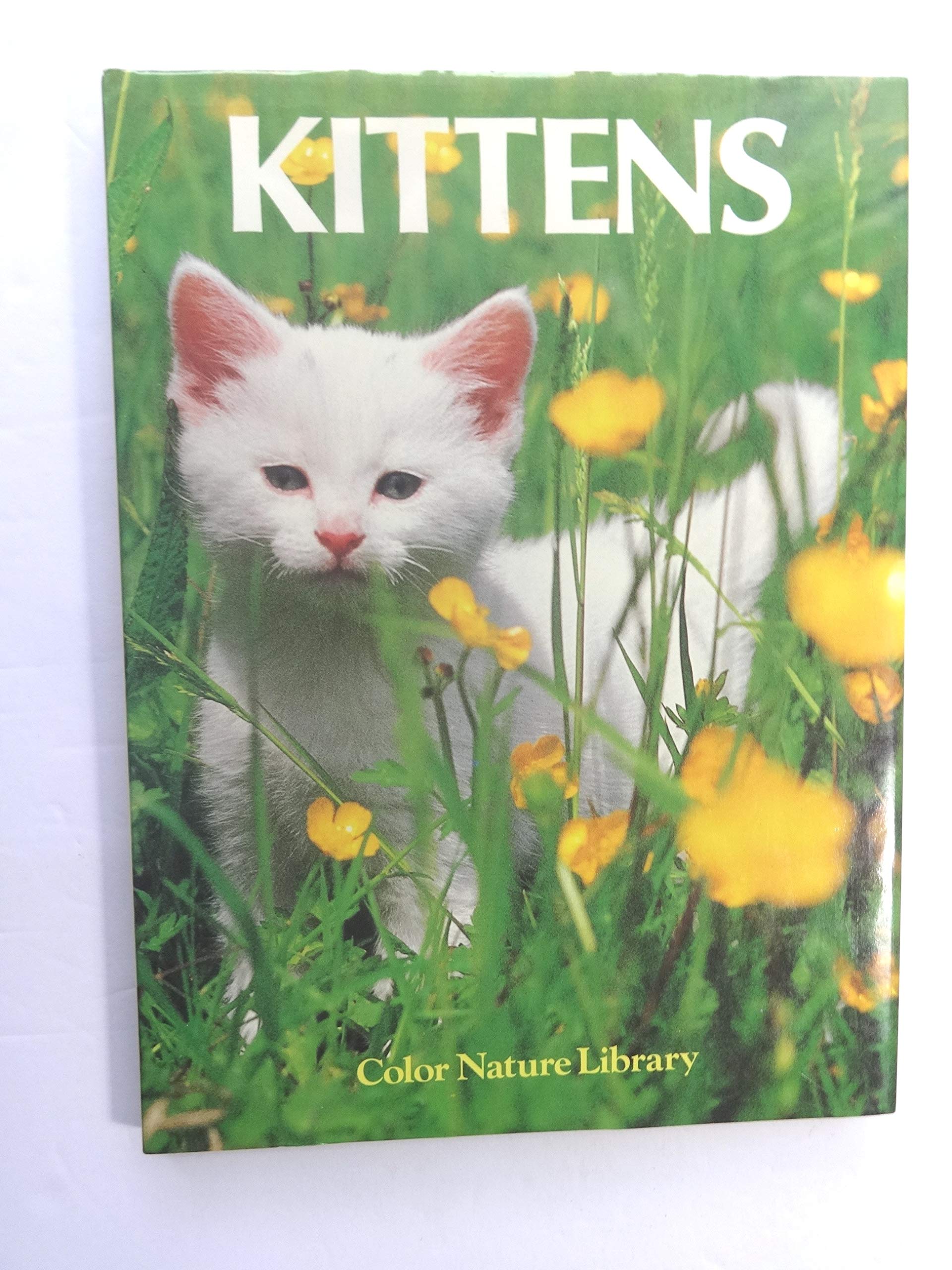 Kittens (Color Nature Library) used book depot