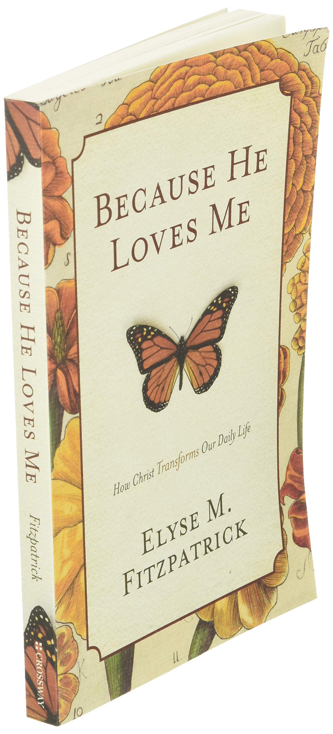 Because He Loves Me: How Christ Transforms Our Daily Life used book depot