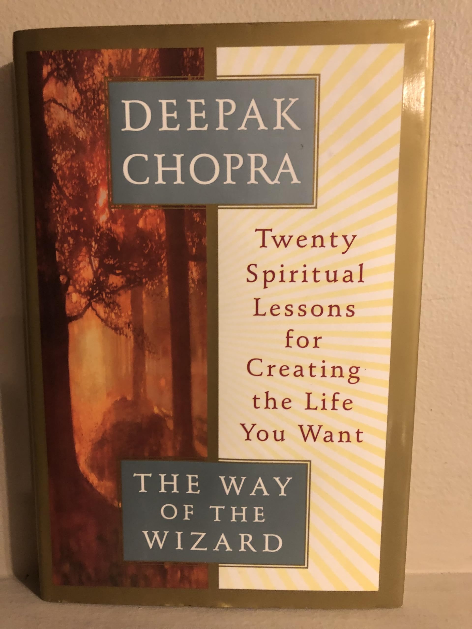 The Way of the Wizard: Twenty Spiritual Lessons for Creating the Life You Want used book depot