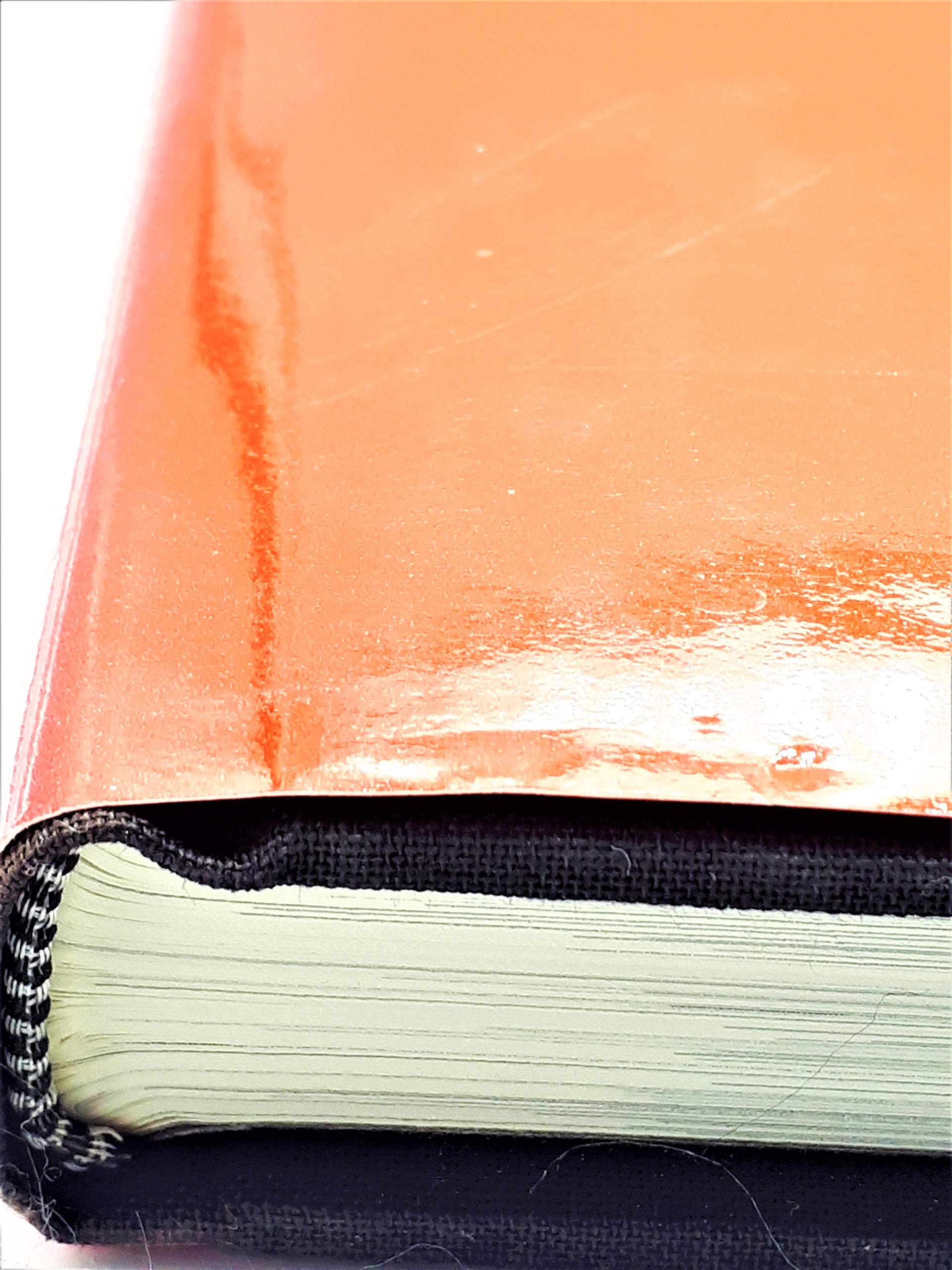 Double Exposure, Take Two: A Gallery of the Celebrated With Commentary by the Equally Celebrated used book depot