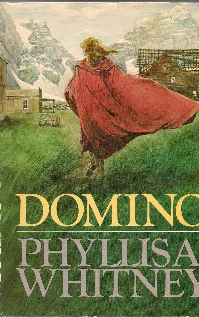 Domino used book depot