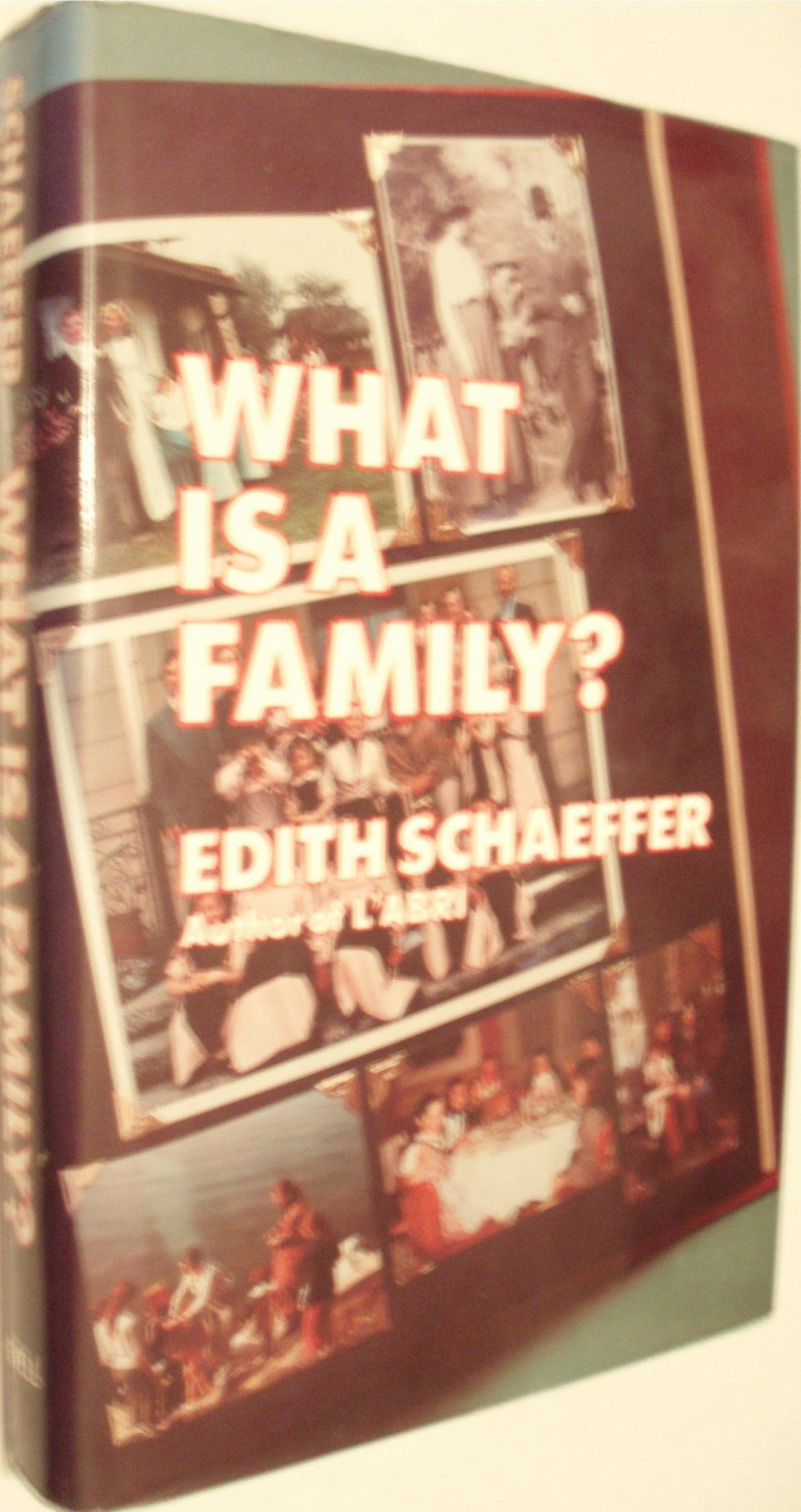 What Is a Family?