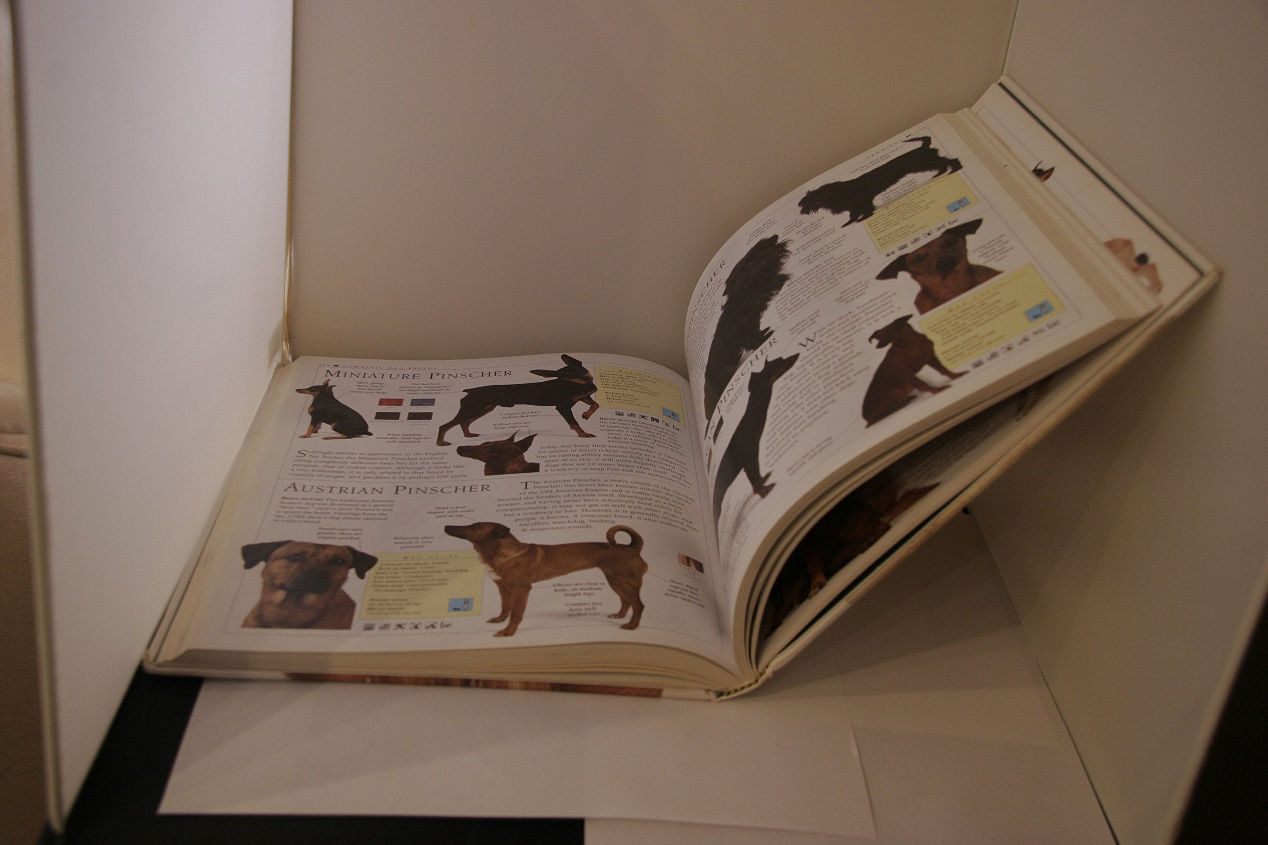 Encyclopedia of the Dog