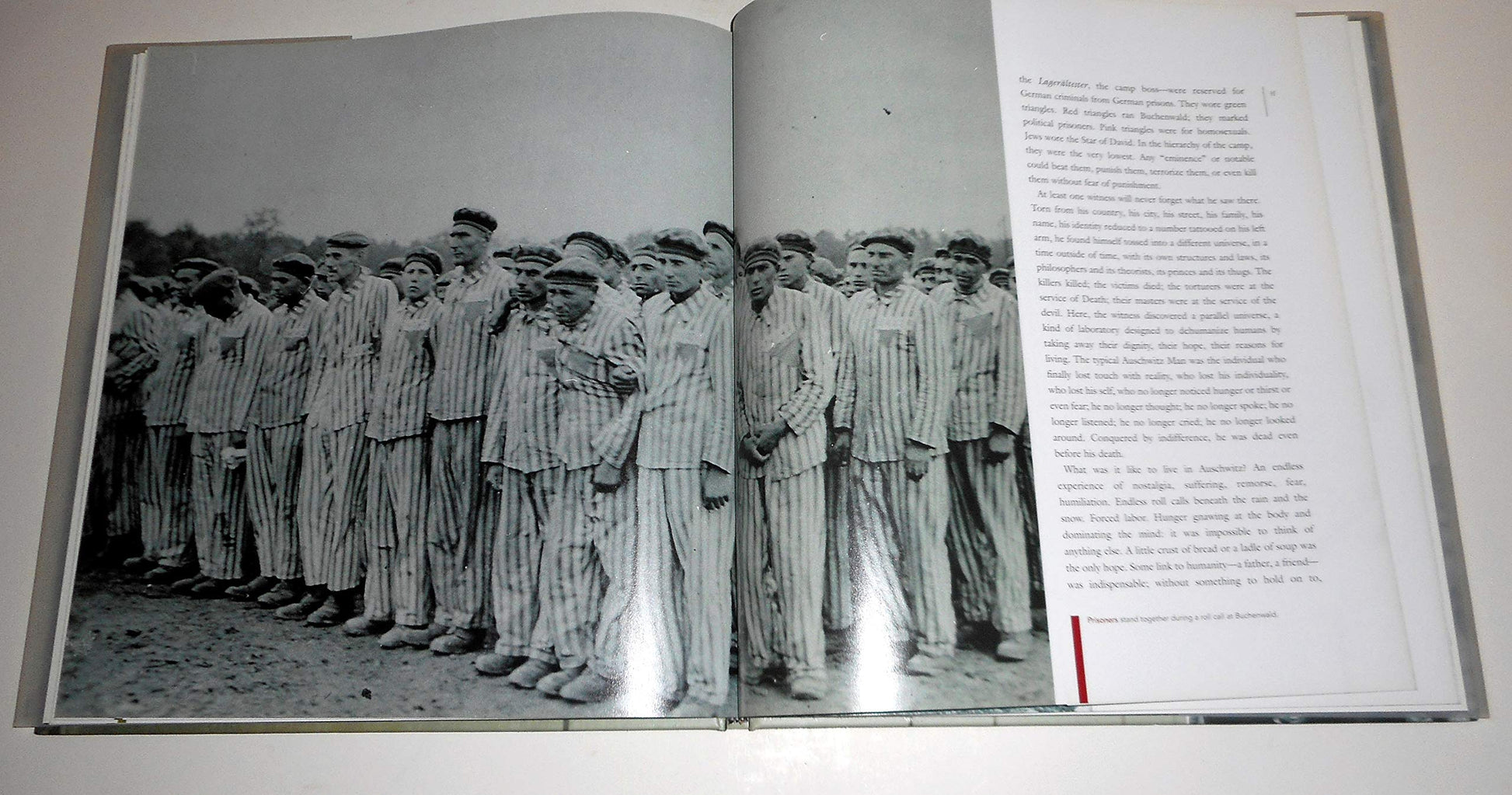 After the Darkness: Reflections on the Holocaust used book depot