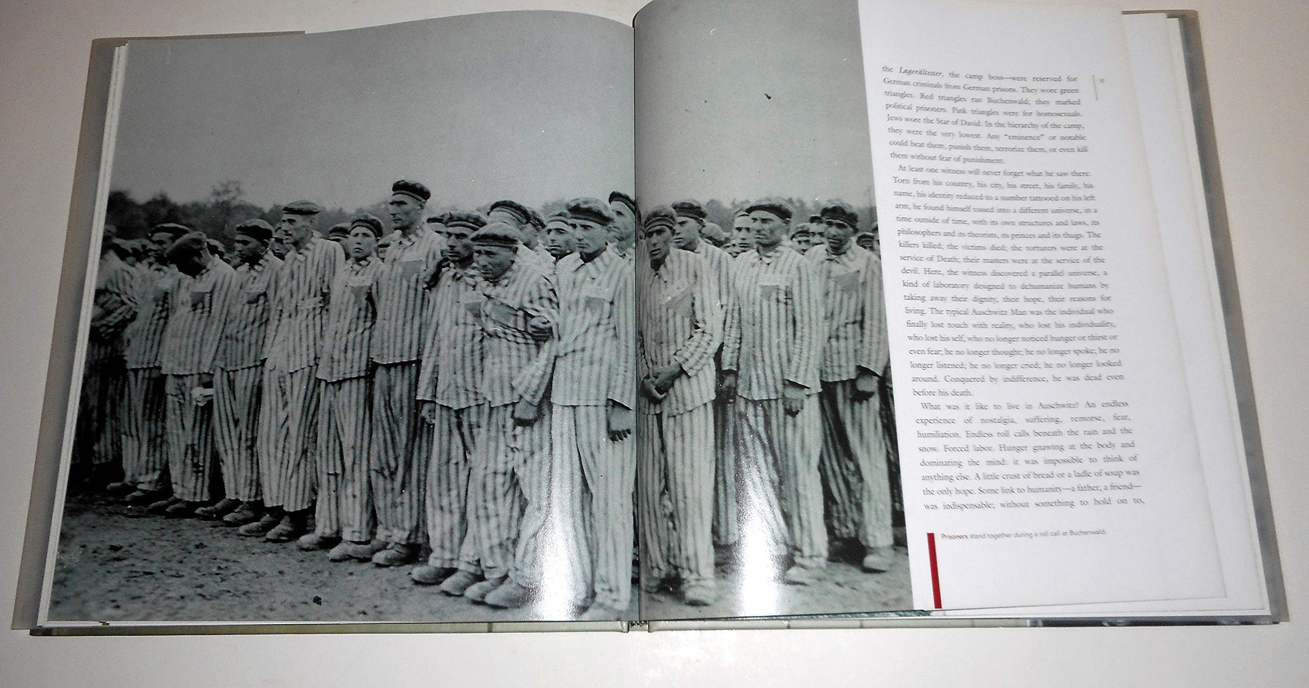 After the Darkness: Reflections on the Holocaust used book depot