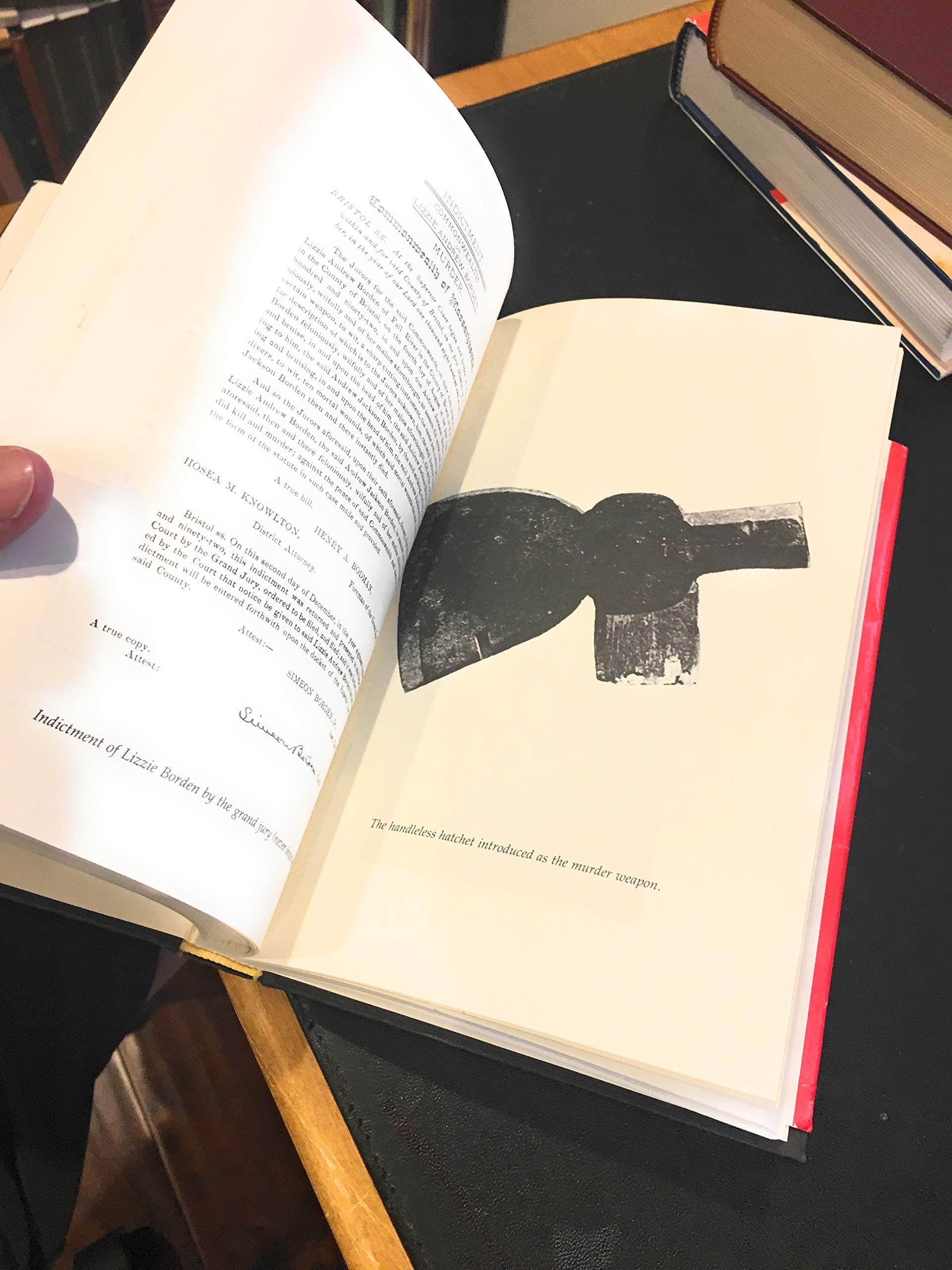 Forty Whacks: New Evidence in the Life and Legend of Lizzie Borden used book depot