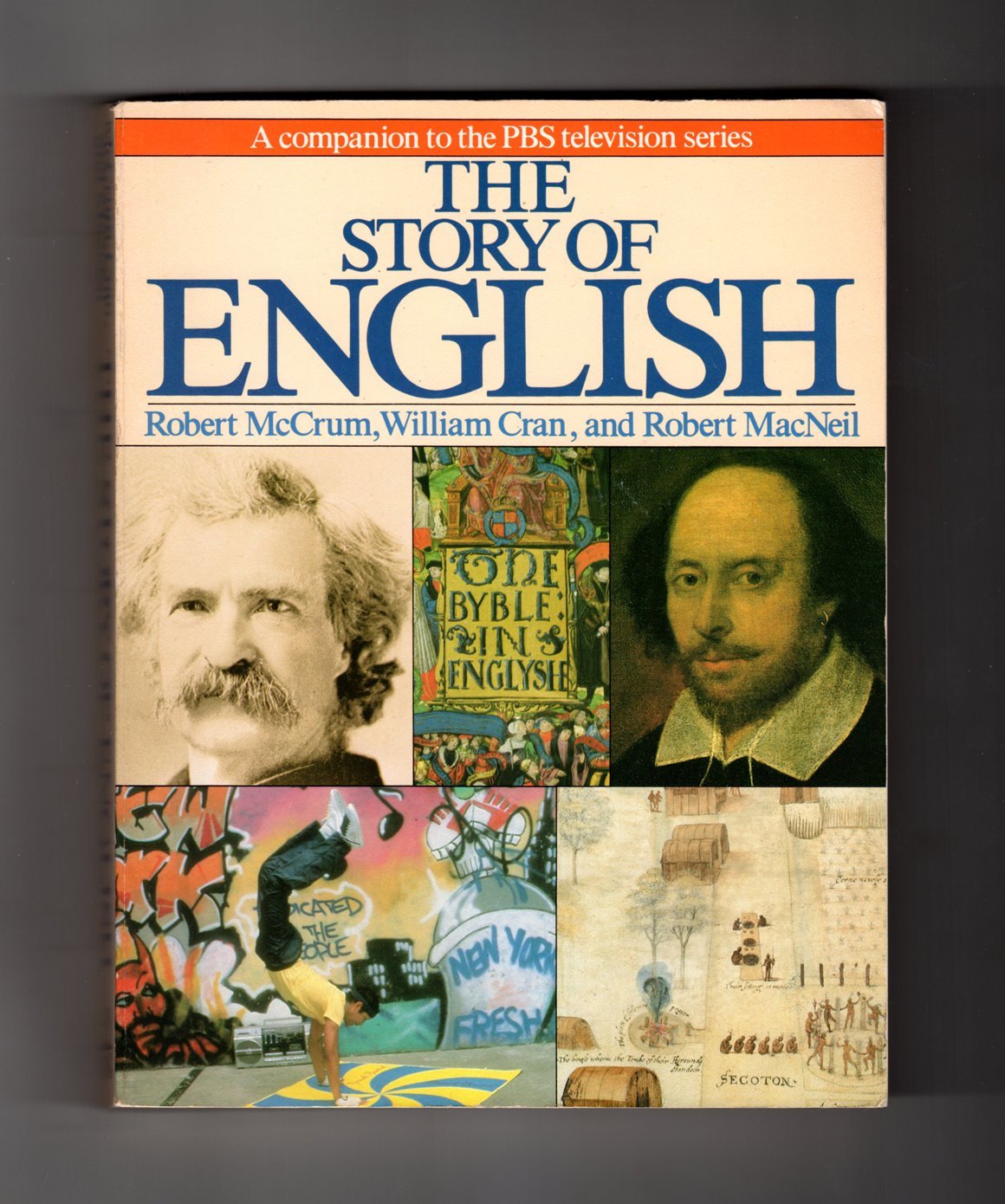 The Story of English used book depot