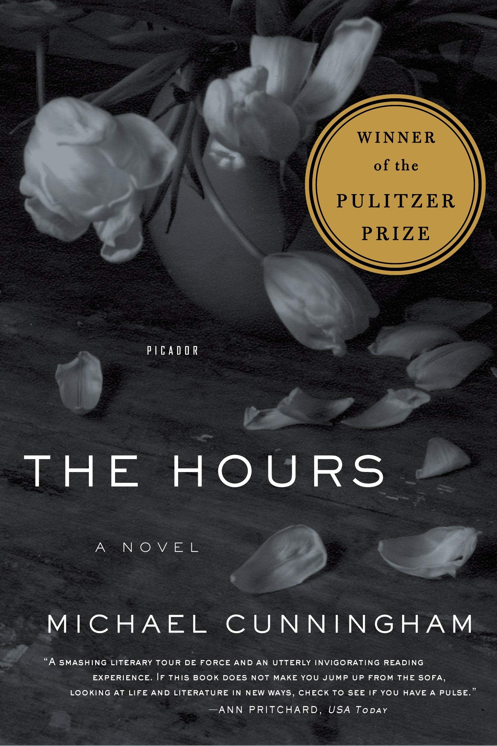 The Hours: A Novel (Picador Modern Classics, 1) used book depot