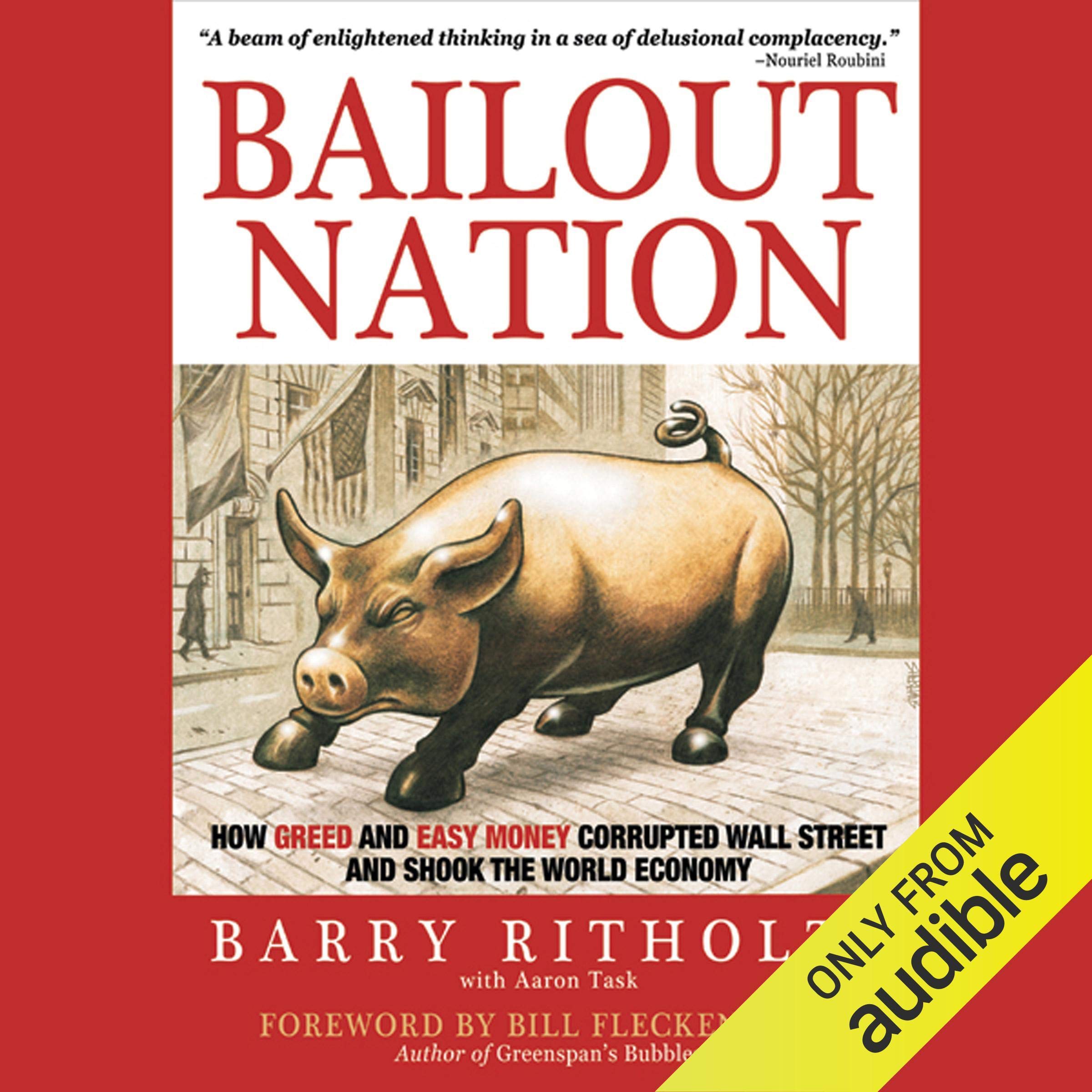 Bailout Nation: How Greed and Easy Money Corrupted Wall Street and Shook the World Economy used book depot