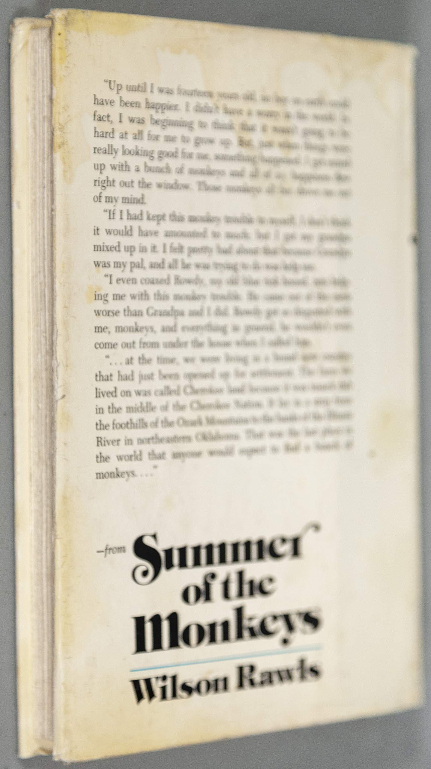 Summer of the Monkeys used book depot