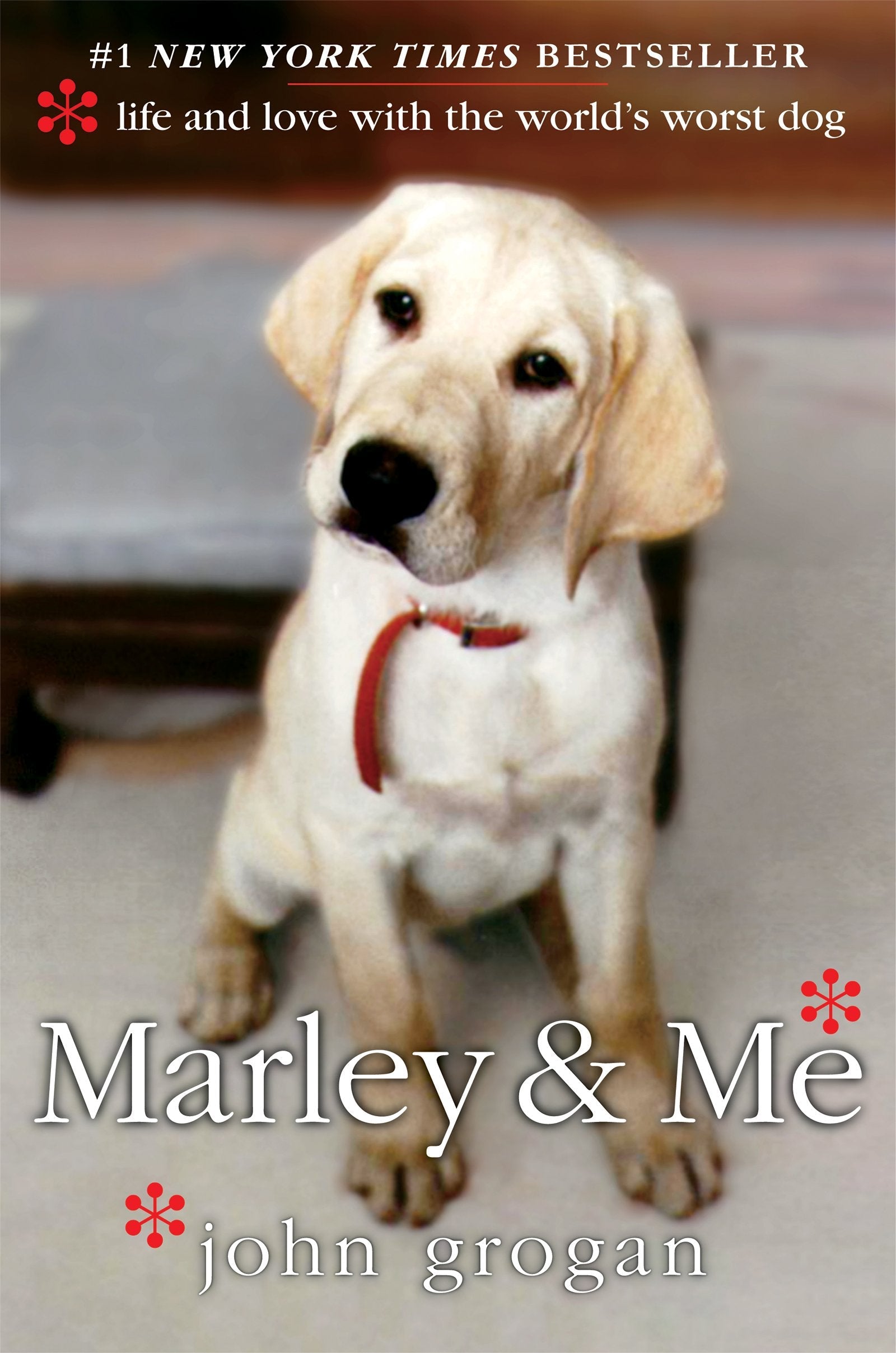 Marley & Me: Life and Love with the World's Worst Dog used book depot