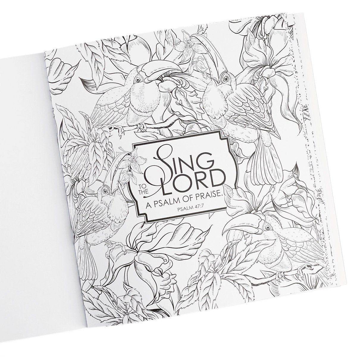 "Shine": Color Your Life Beautiful Inspirational Adult Coloring Book used book depot