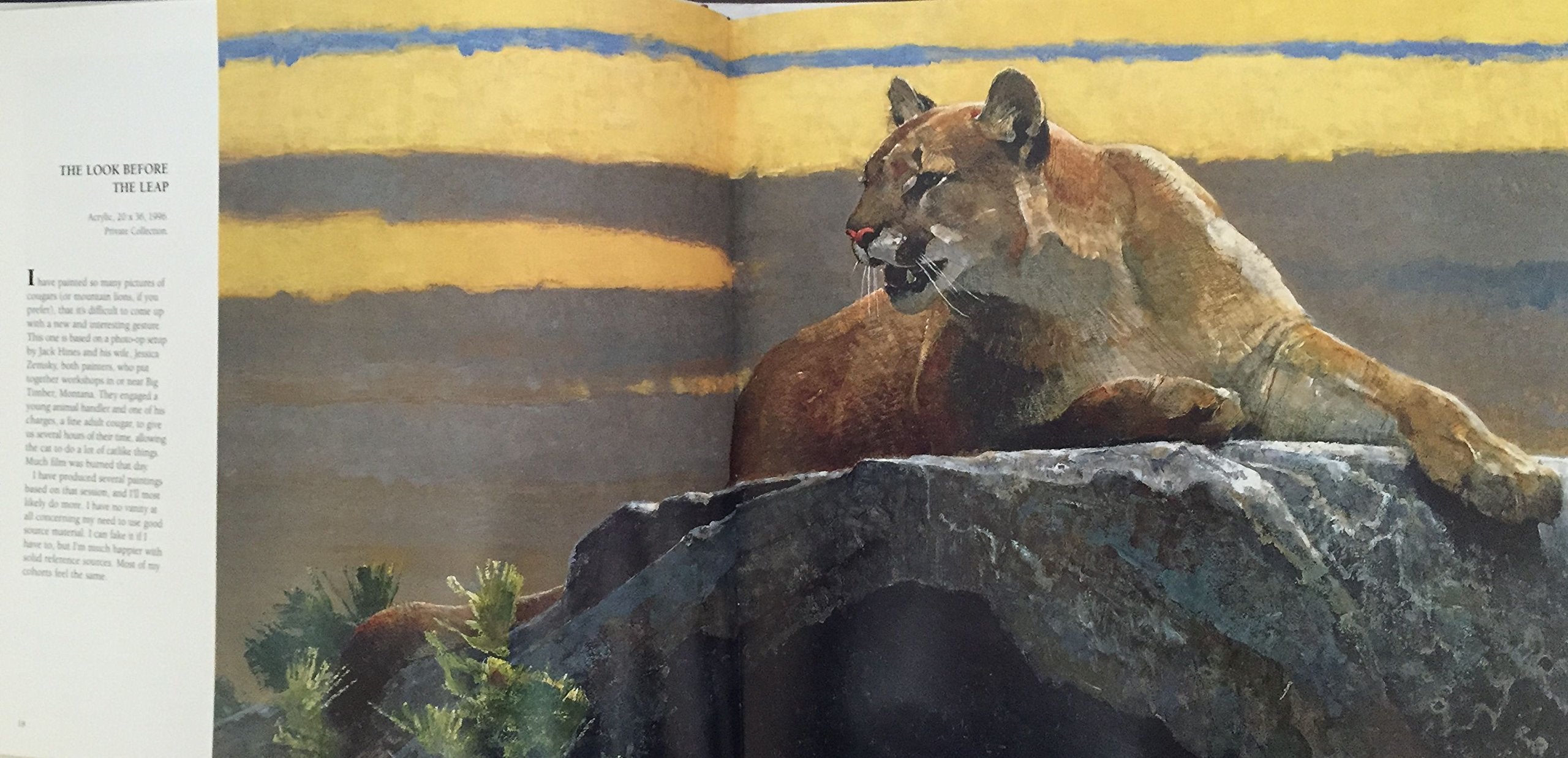 Wild Harvest: The Animal Art of Bob Kuhn used book depot
