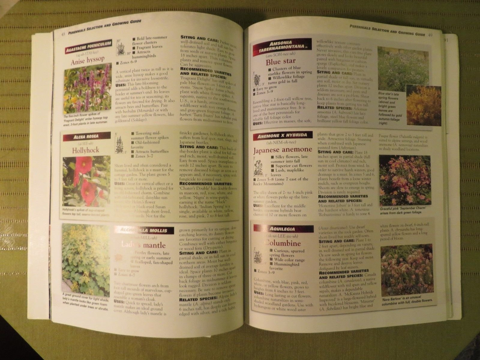 Ortho's All About Perennials (Ortho's All About Gardening) used book depot
