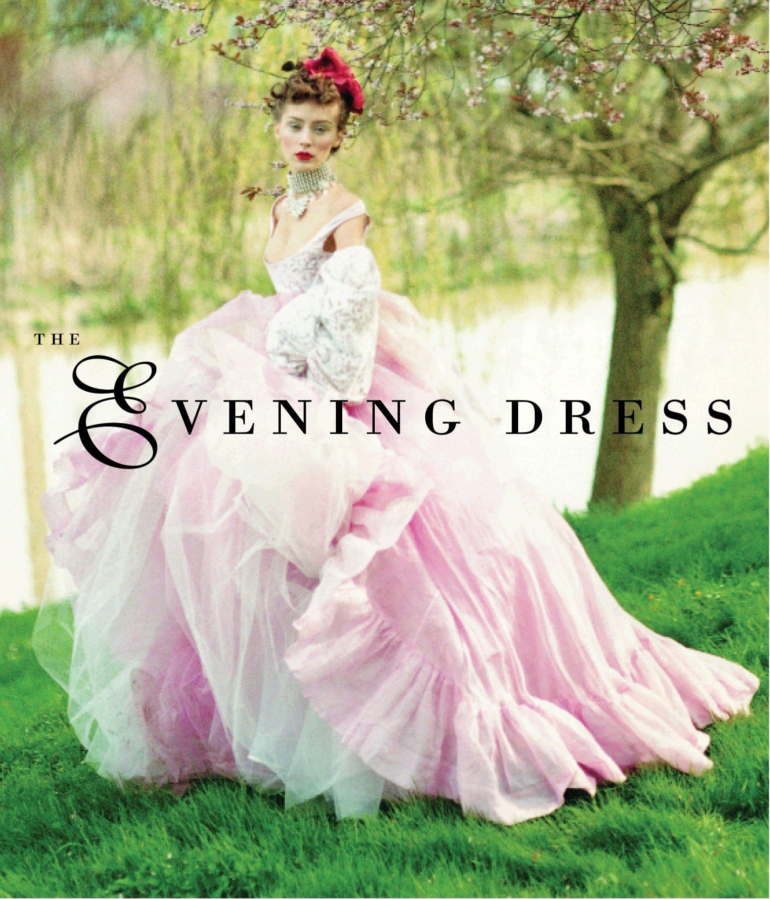 Evening Dress used book depot