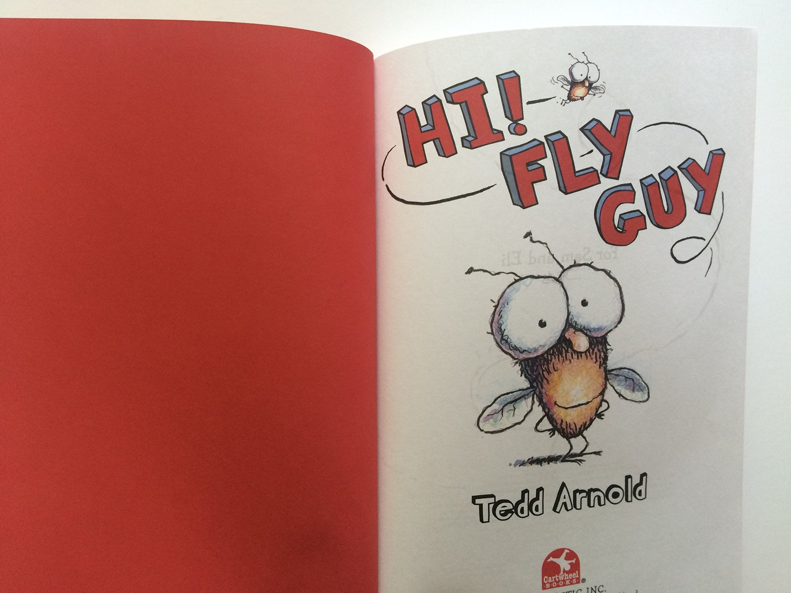 Fly Guy Reader Collection used book depot