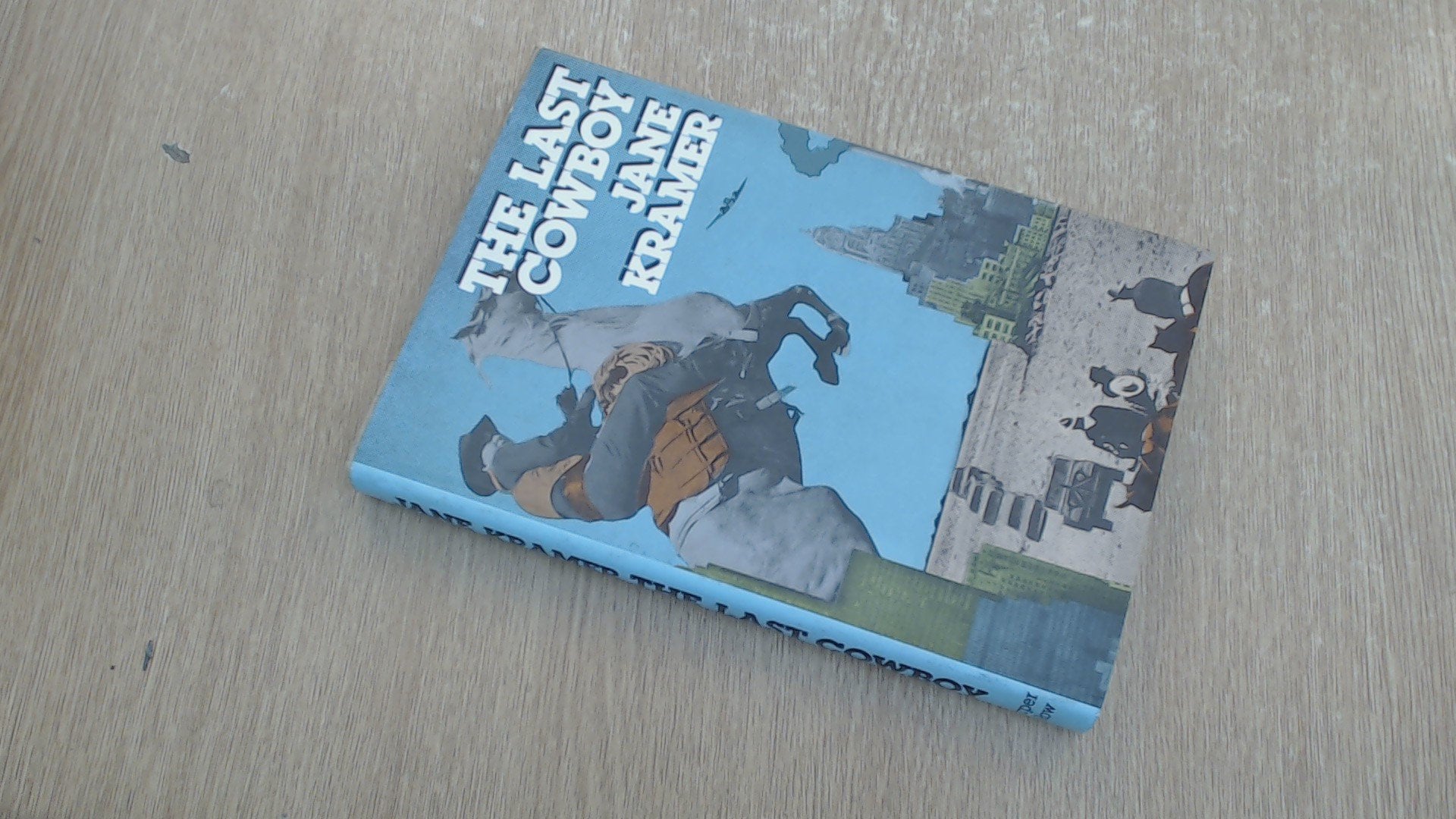 The Last Cowboy used book depot