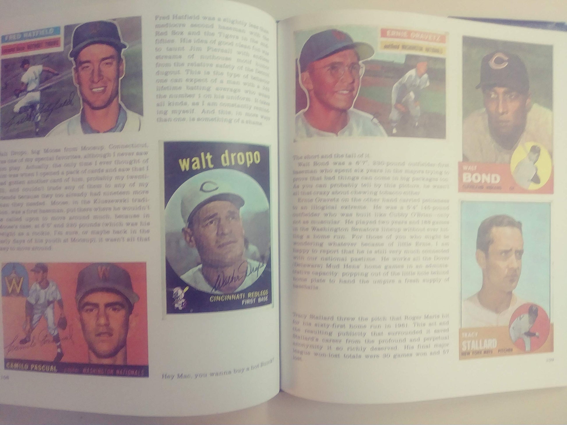 The Great American Baseball Card Flipping, Trading and Bubble Gum Book used book depot