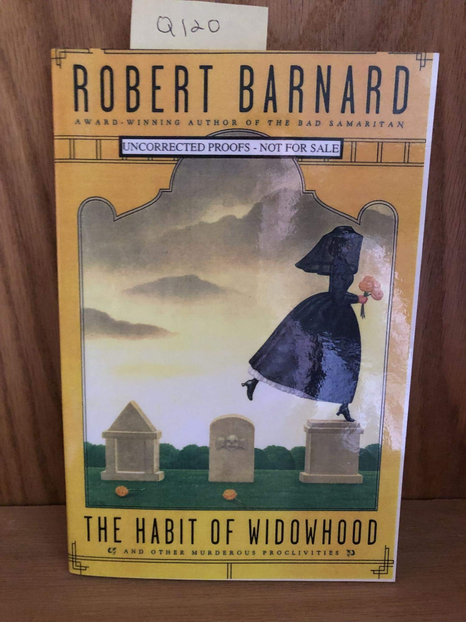 The Habit of Widowhood used book depot