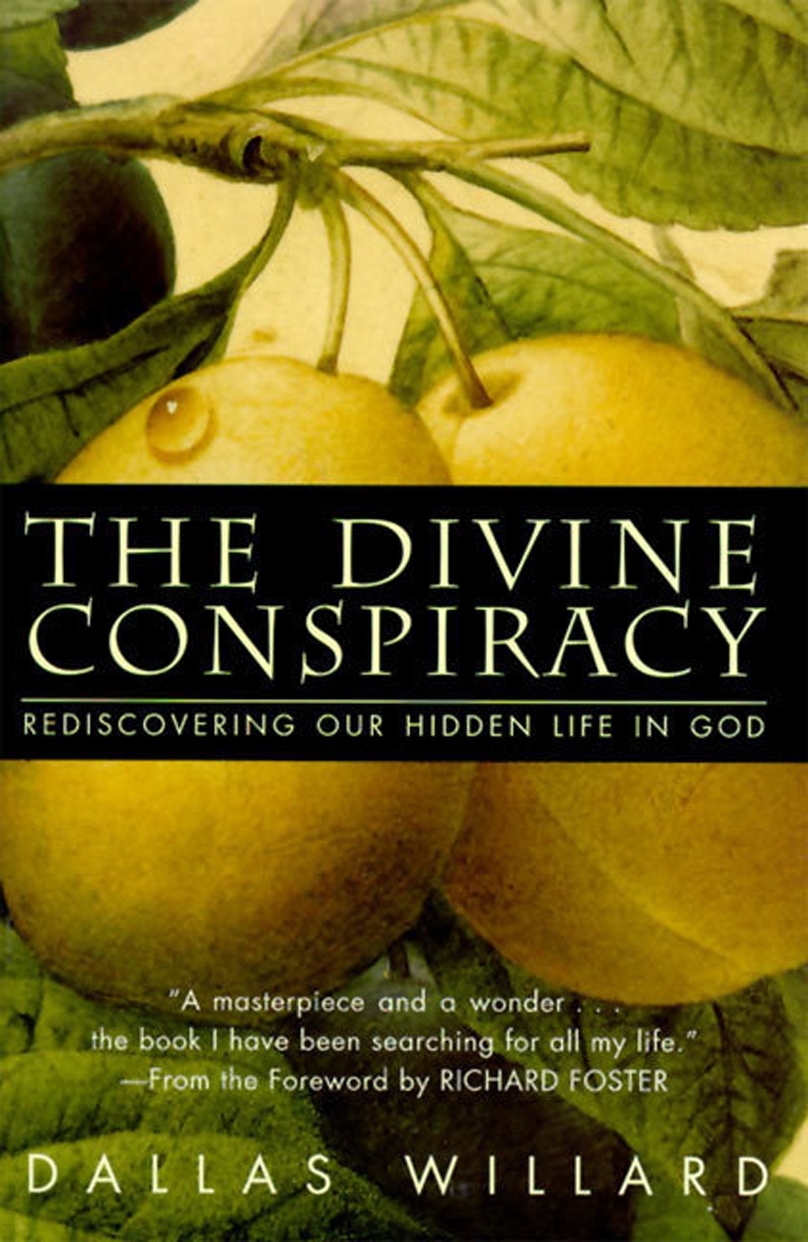 The Divine Conspiracy: Rediscovering Our Hidden Life In God used book depot