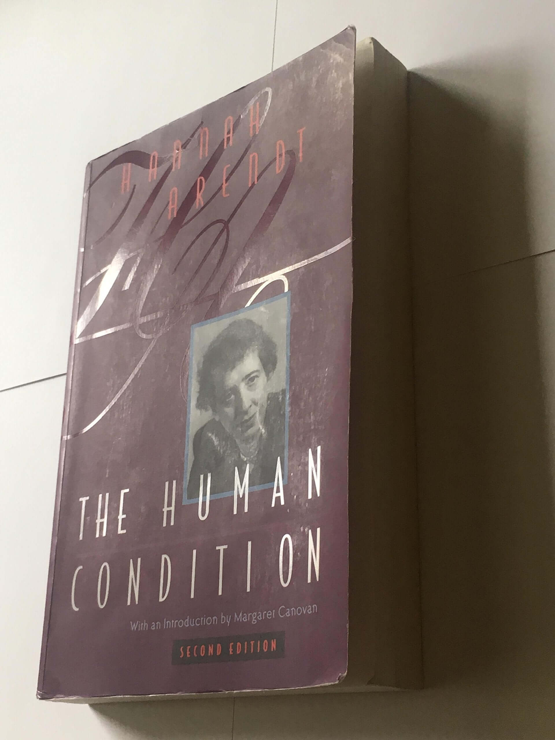 The Human Condition, 2nd Edition used book depot