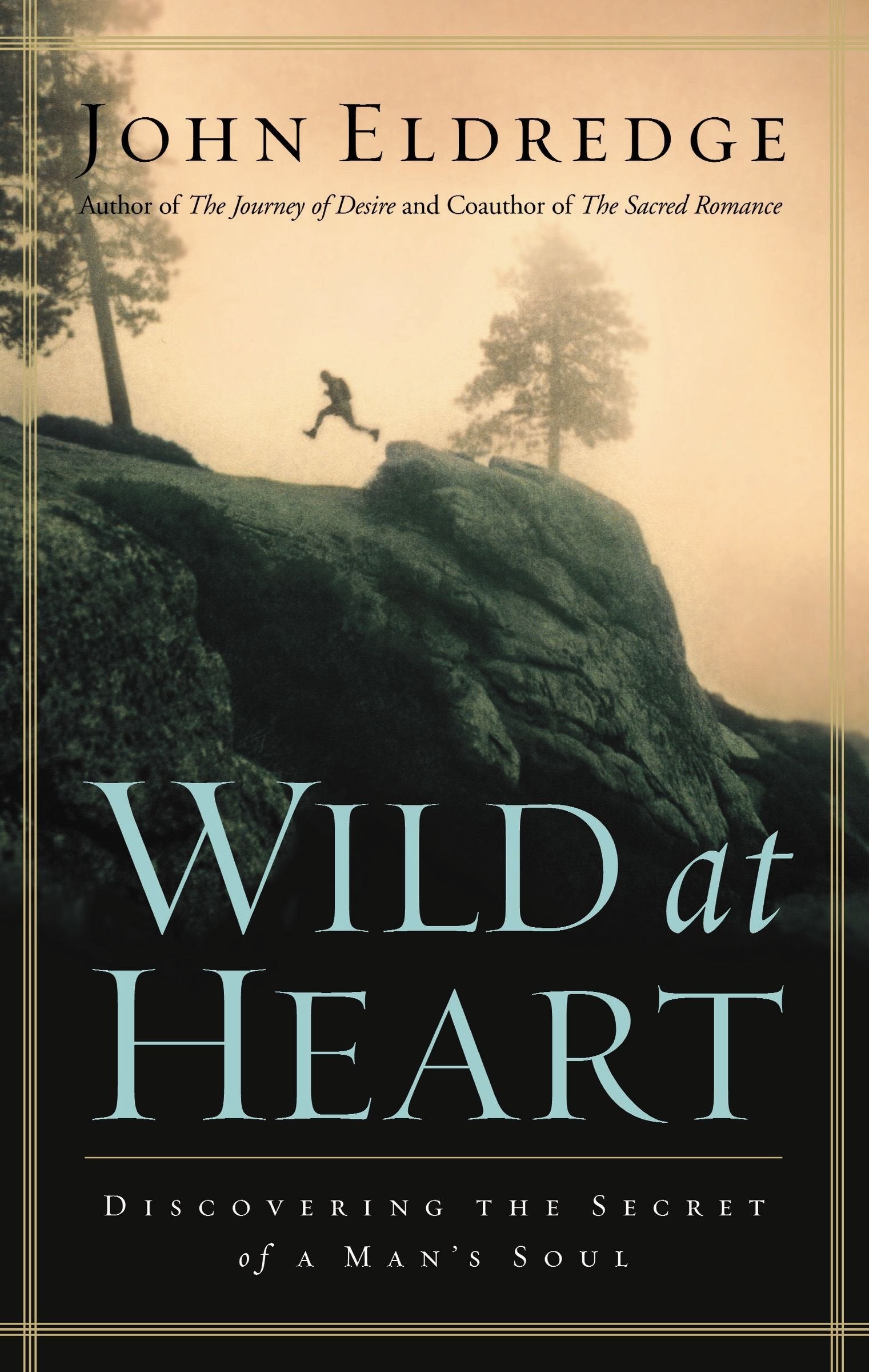 Wild at Heart: Discovering The Secret of a Man's Soul used book depot