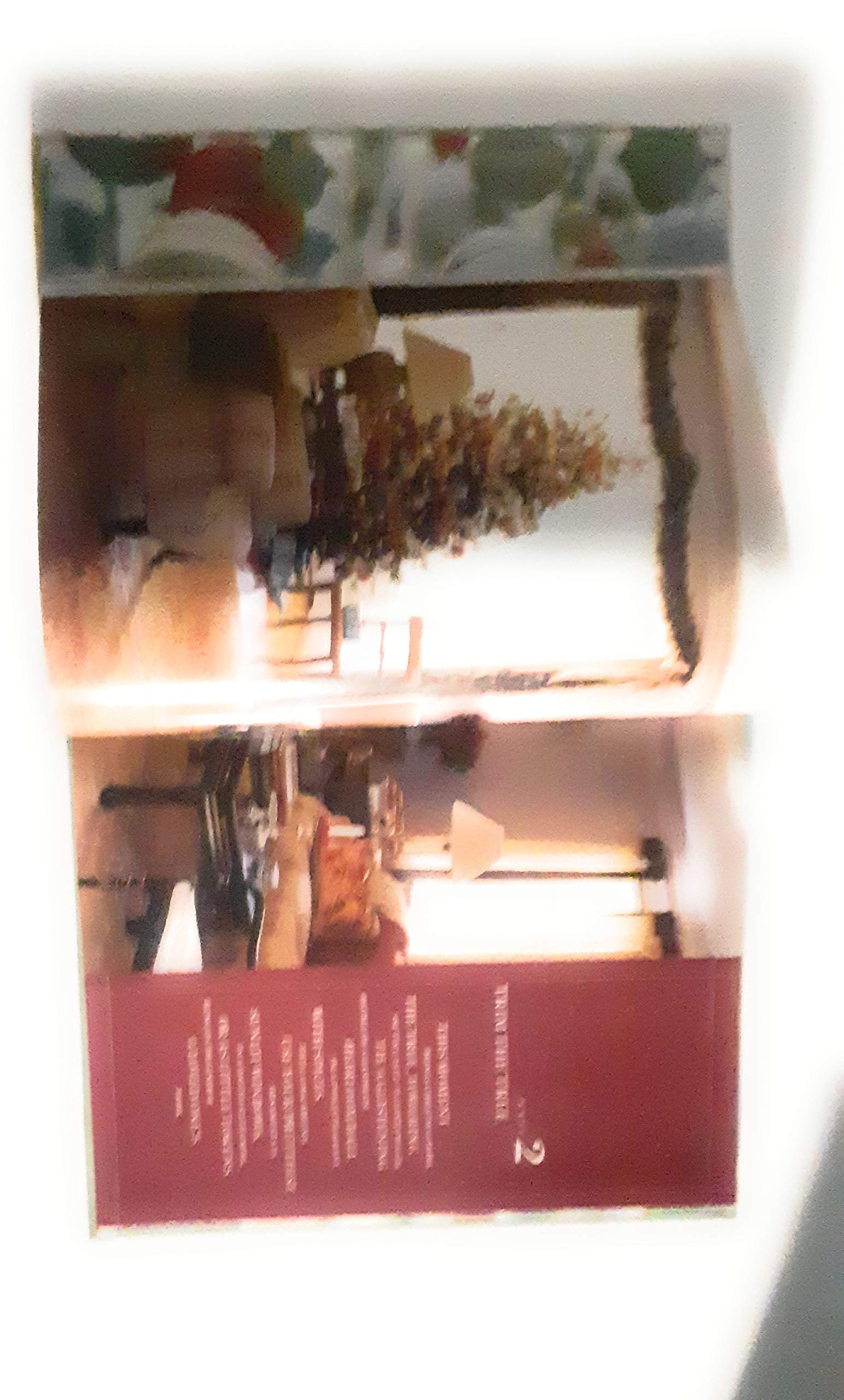 Decorating for the Holidays (Christmas with Martha Stewart Living) used book depot