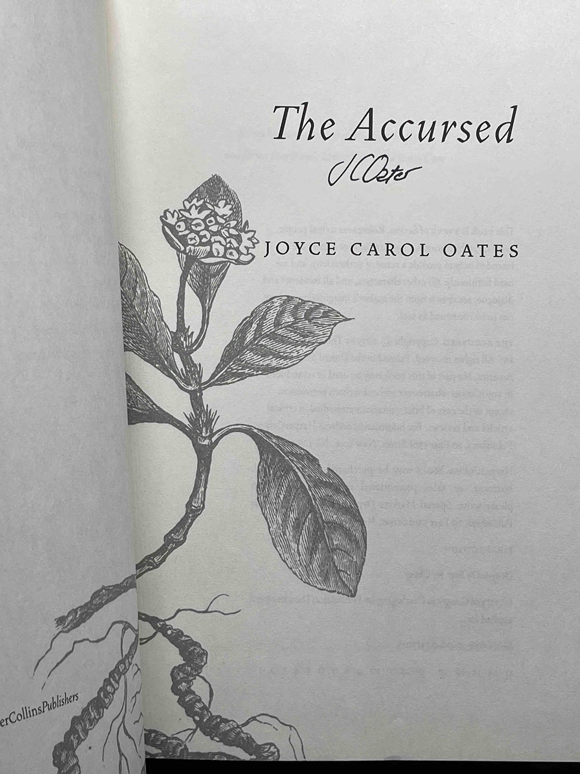 The Accursed used book depot