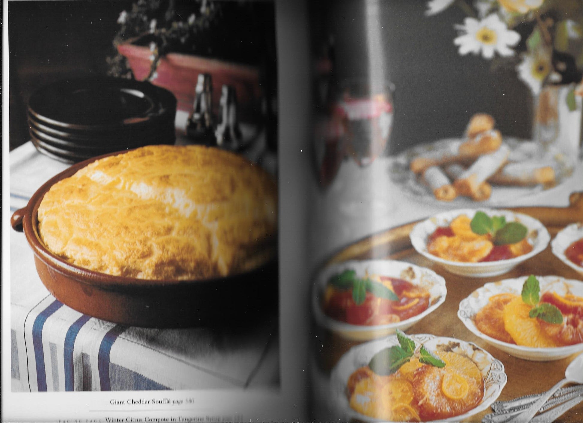 Vegetarian Cooking for Everyone used book depot