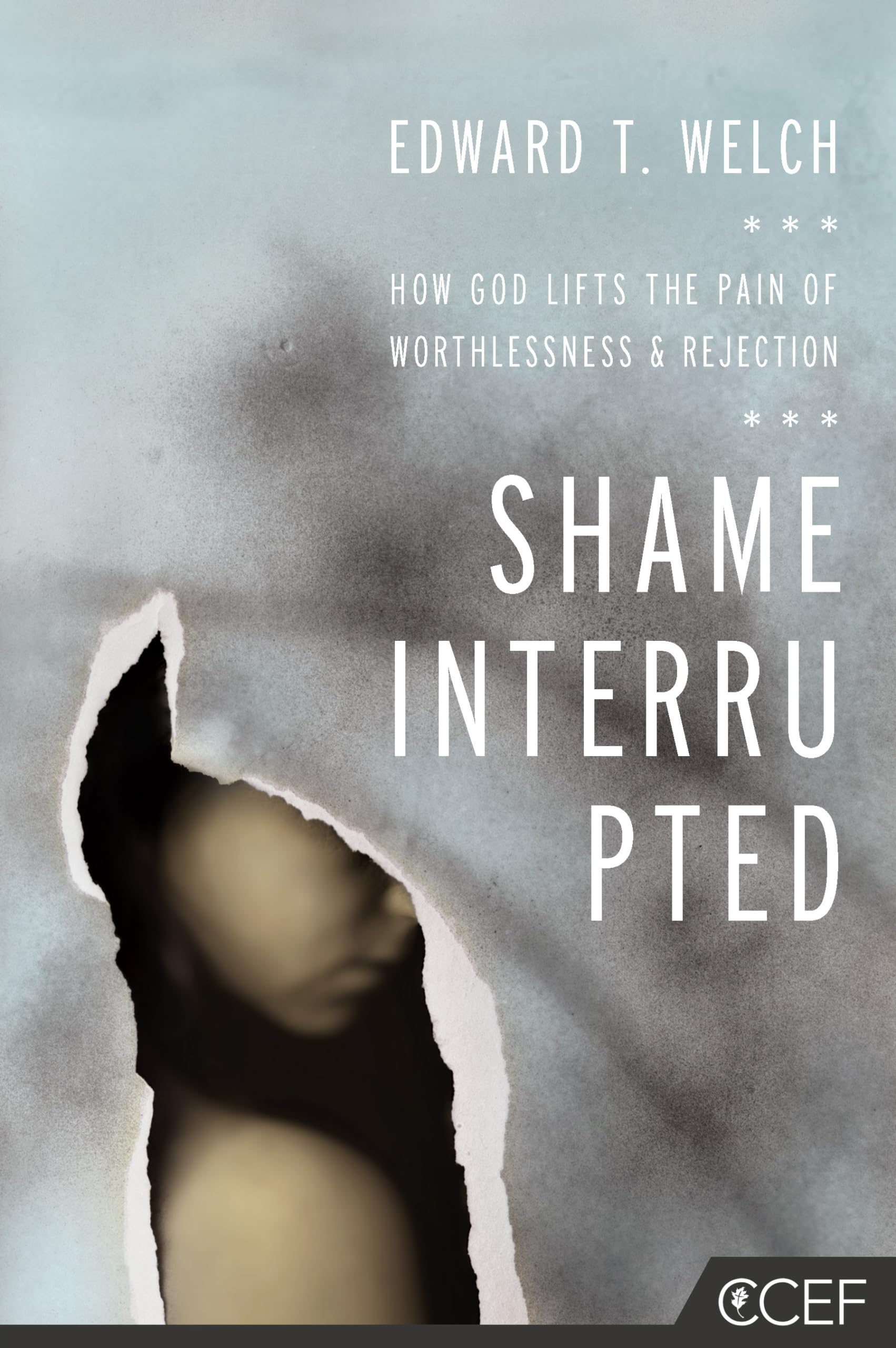 Shame Interrupted: How God Lifts the Pain of Worthlessness and Rejection used book depot