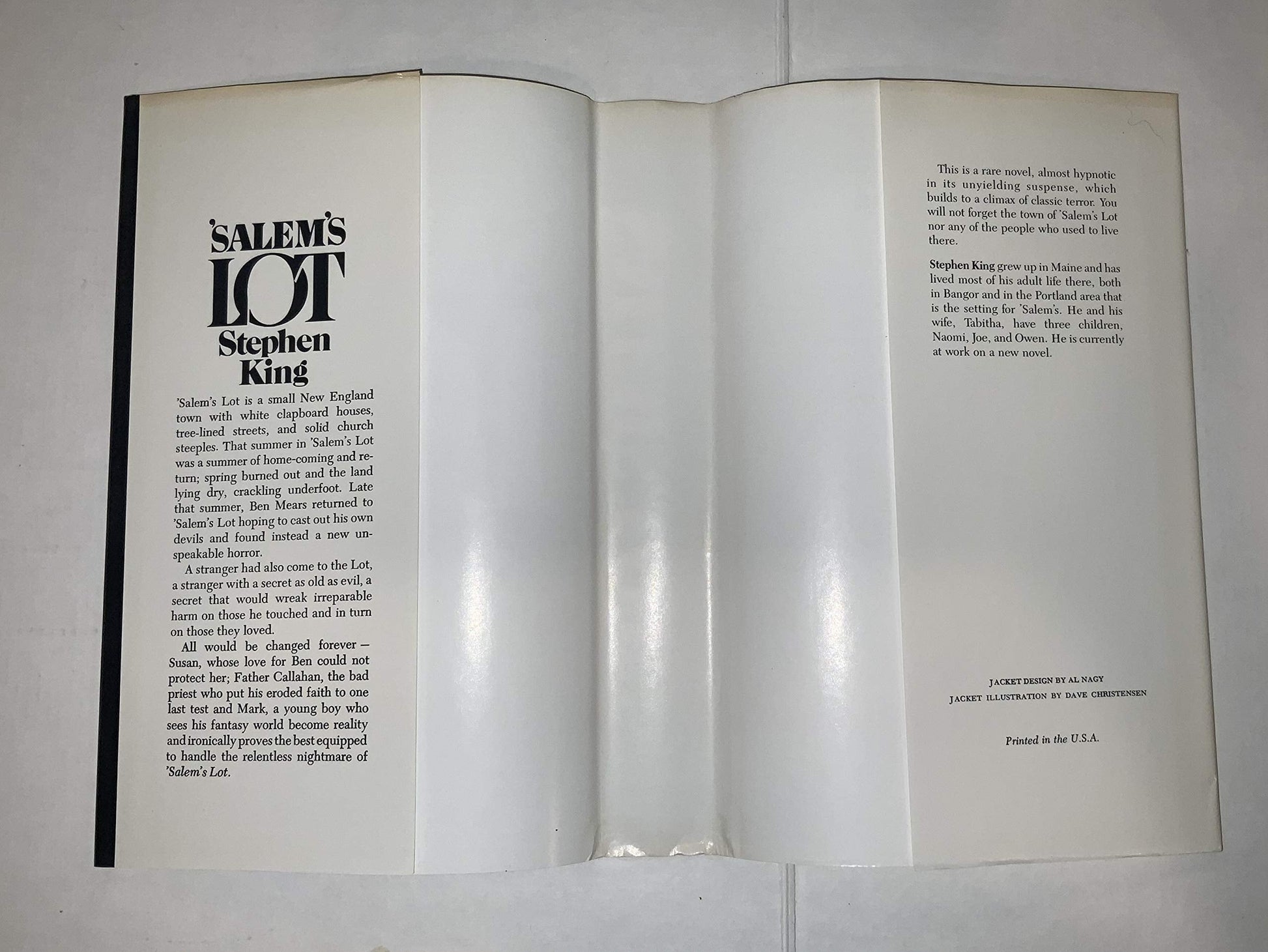 Salem's Lot used book depot