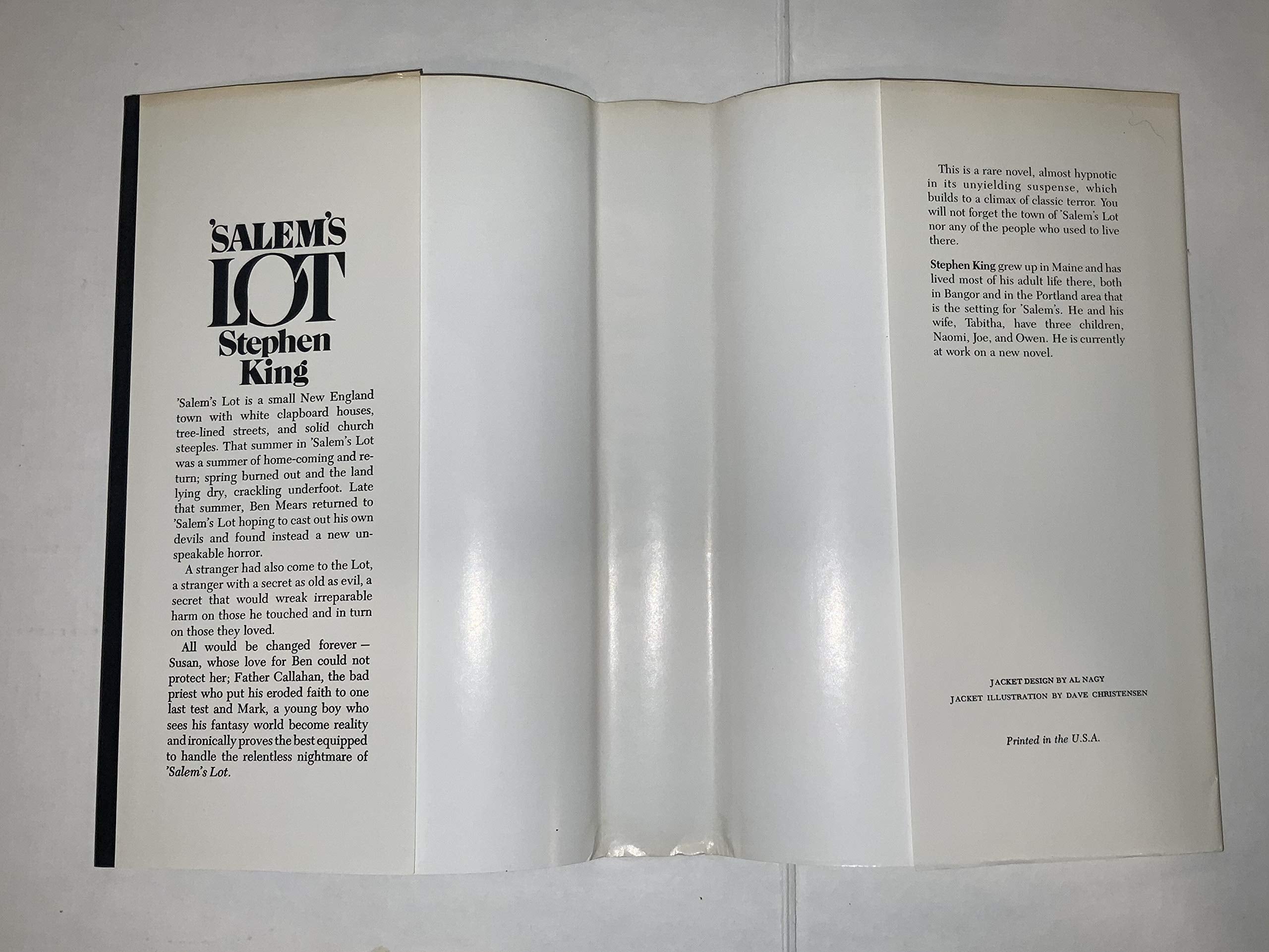 Salem's Lot used book depot