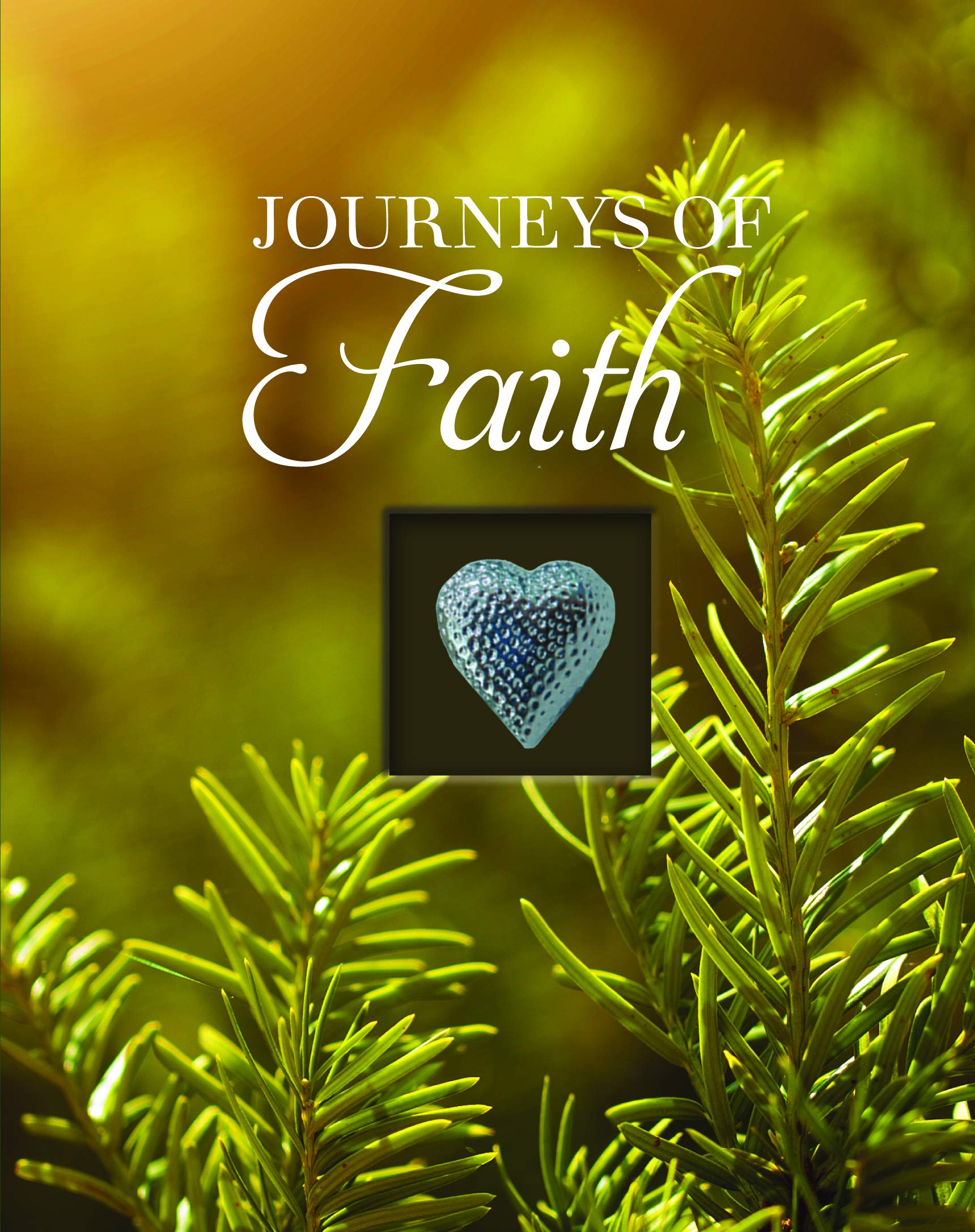 Journeys of Faith (Deluxe Daily Prayer Books) used book depot