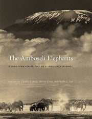 The Amboseli Elephants: A Long-Term Perspective on a Long-Lived Mammal used book depot